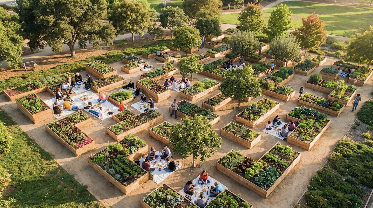 Permaculture food forest and communal gardens at Cerro Mouro sustainable development near Lagos