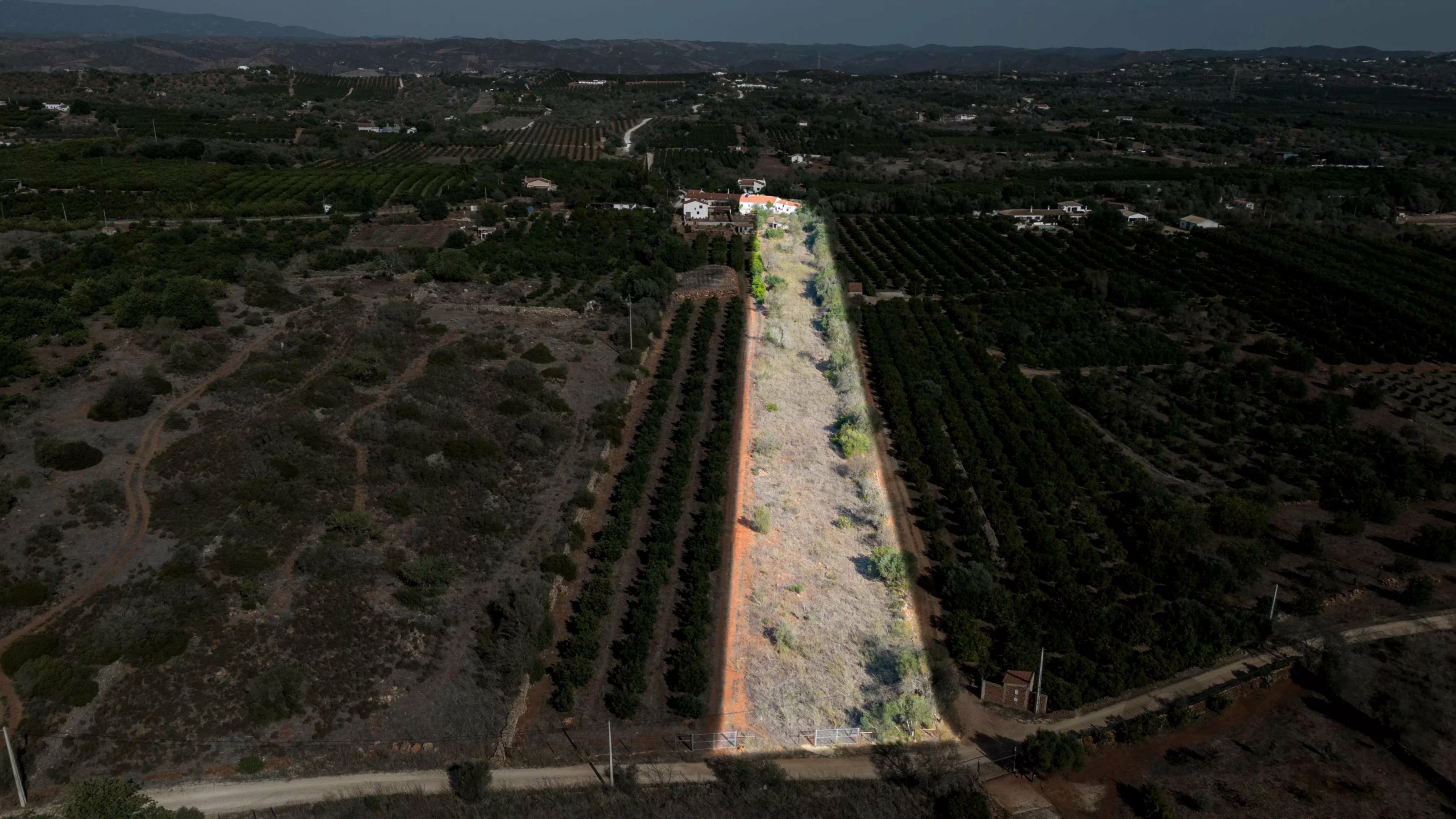 Aerial view of a rural valley with rows of trees along a central dirt path bordered by a brick wall, flanked by fields and hills in the distance.