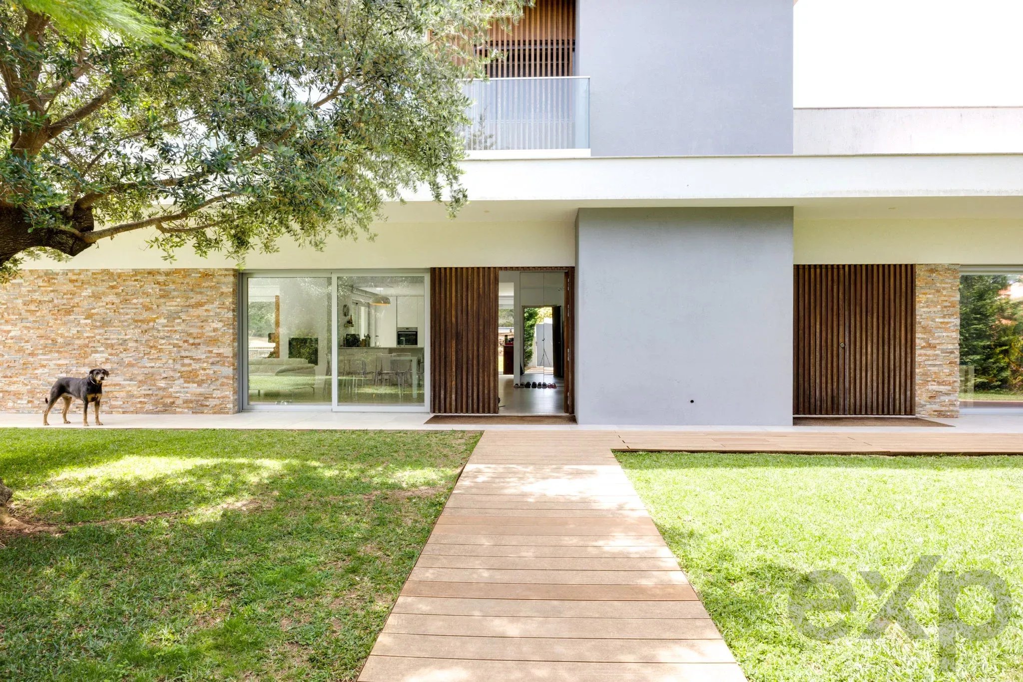 Contemporary house with gray walls, wooden slats, and a glass door, a dog standing on the lawn beside a stone wall.