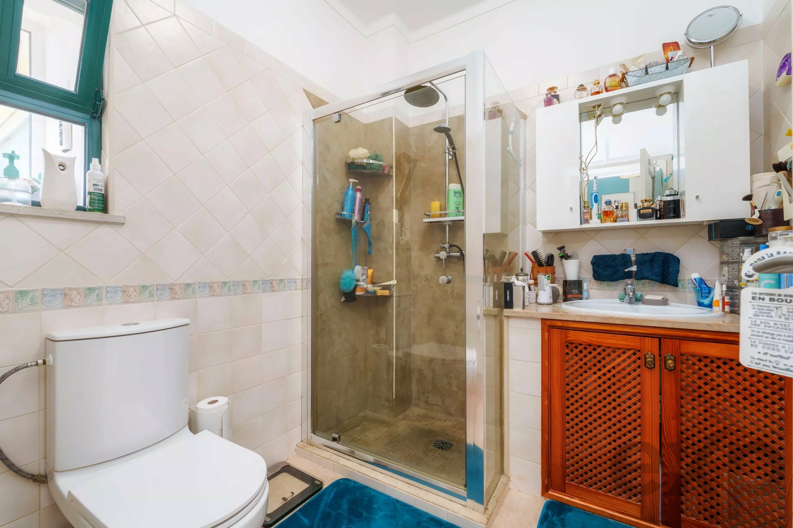 Toilet in the foreground with a glass shower enclosure and a white-tiled wall, and a white vanity with a mirrored cabinet on the right, plus blue bath mats.