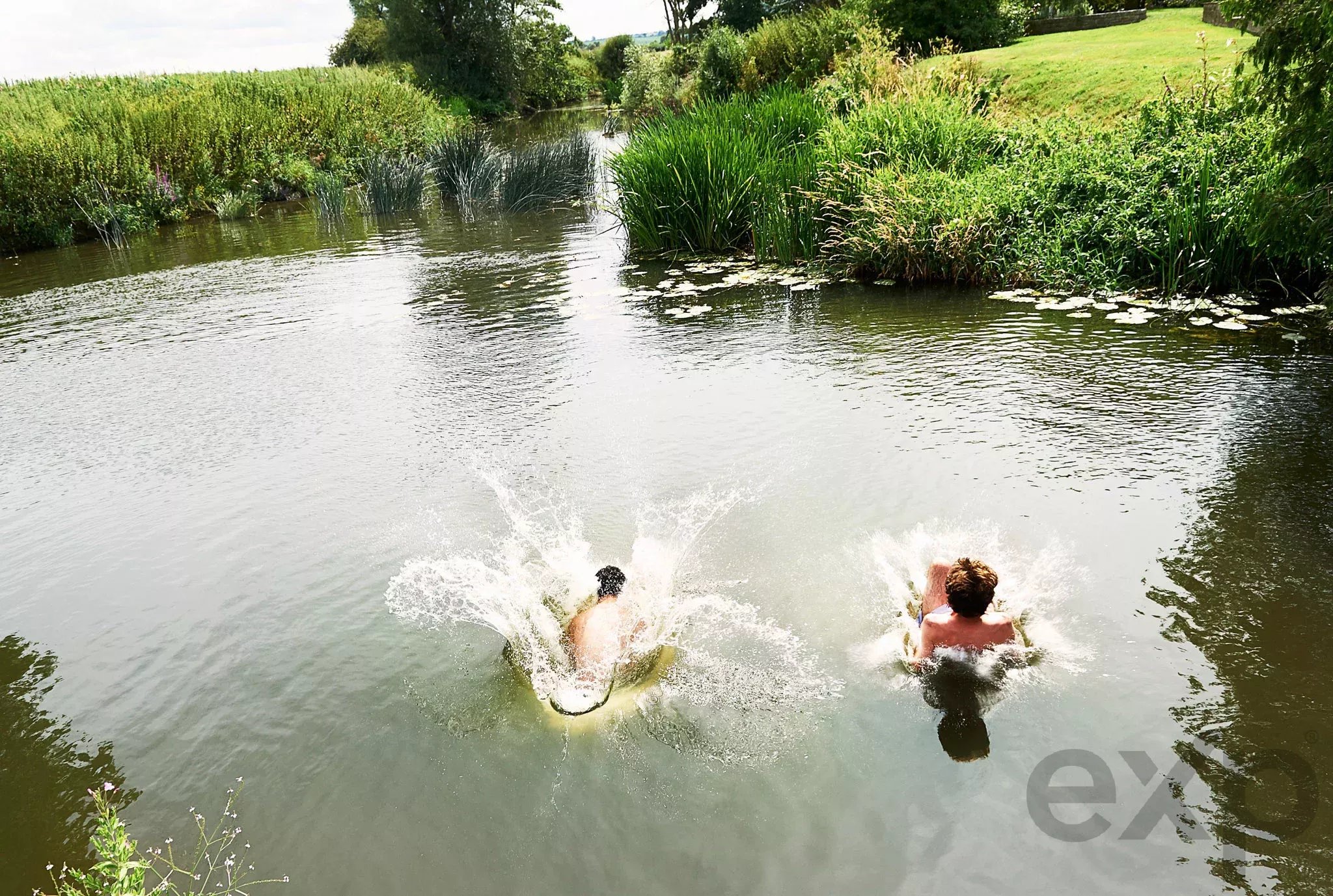 Two shirtless people jump into a river from a grassy bank, creating a big splash among green plants along the water’s edge.