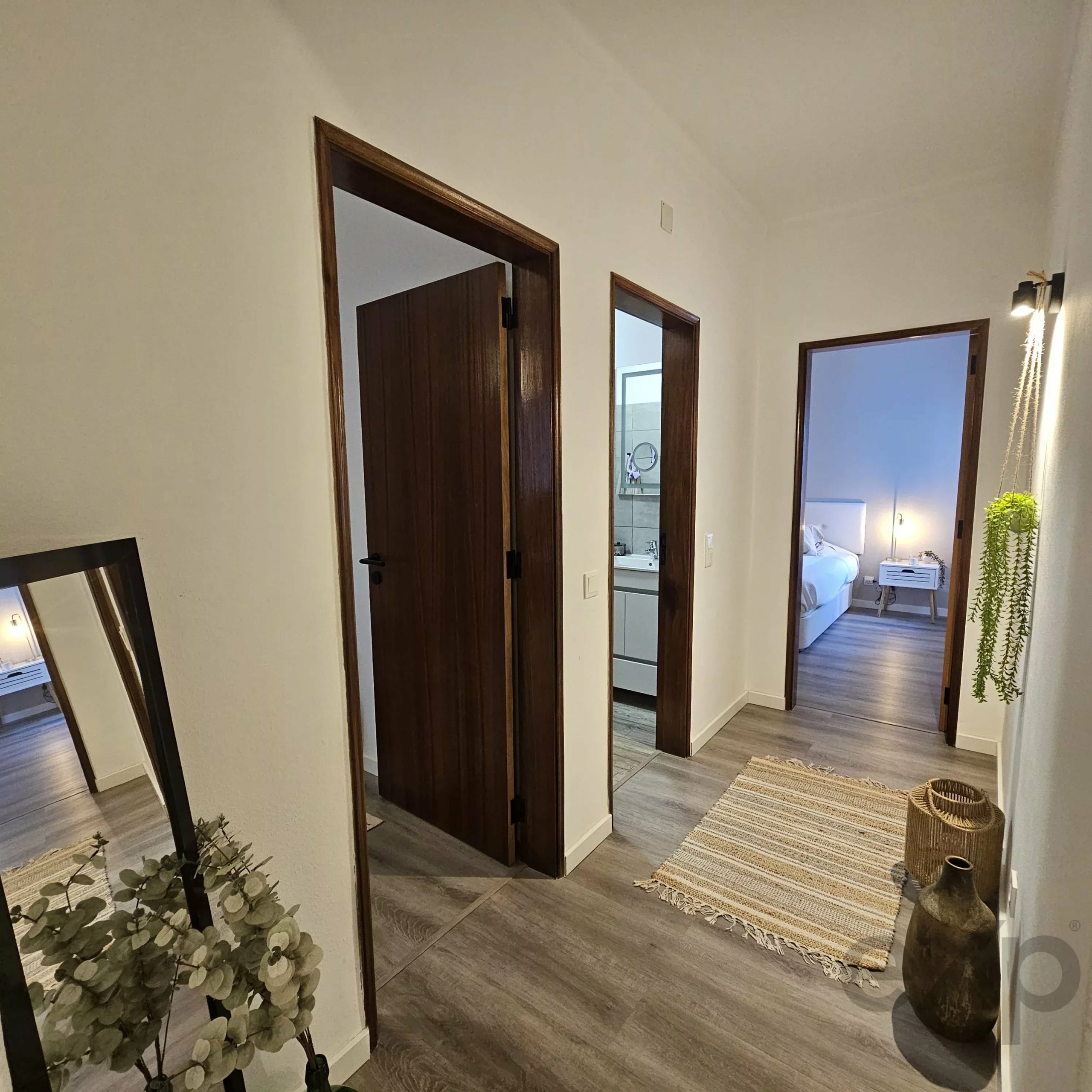 Bright hallway with dark wood-framed doors, a large standing mirror on the left, and a striped rug along the light wood floor; a tall plant sits in a pot on the right edge.