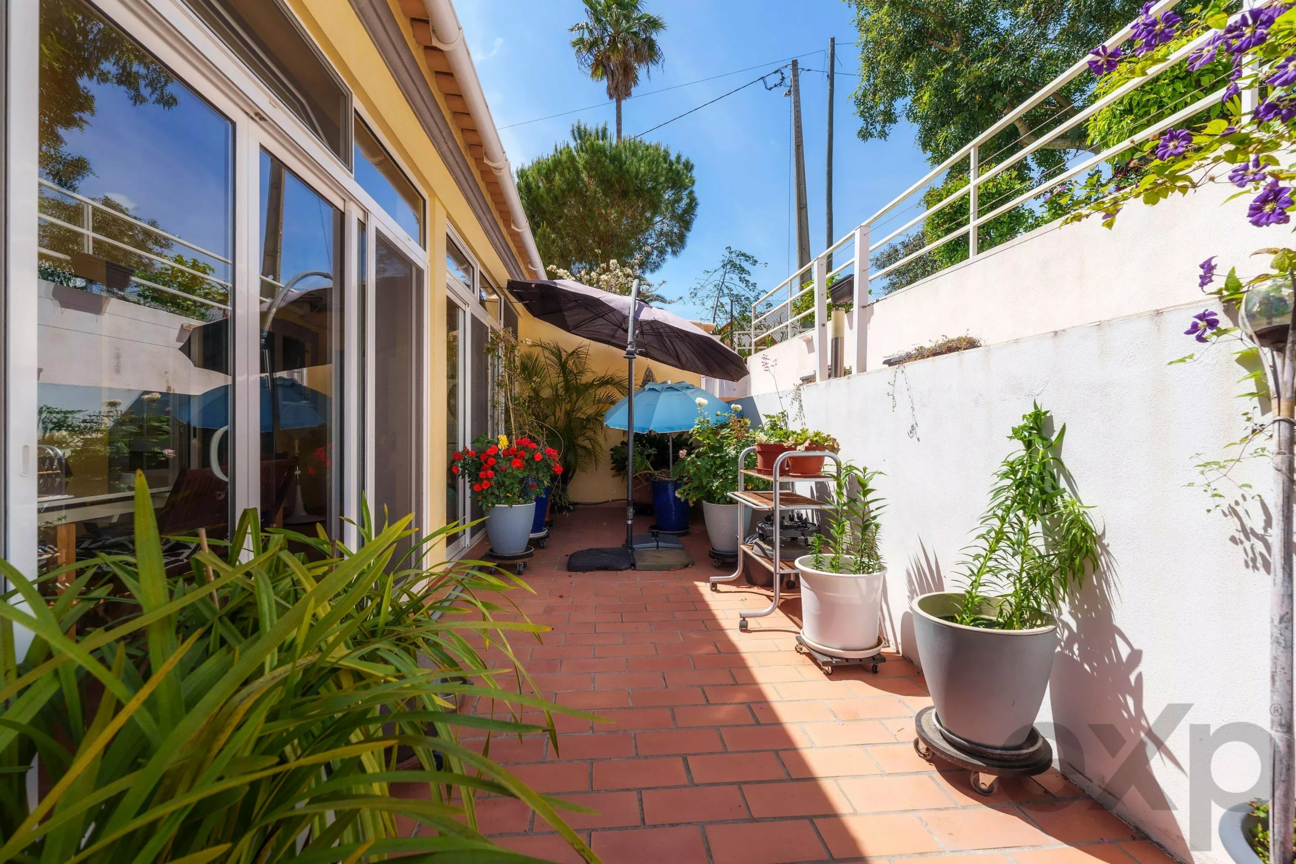 Sunny tiled backyard patio with potted plants, umbrellas, and sliding glass doors along a yellow house.