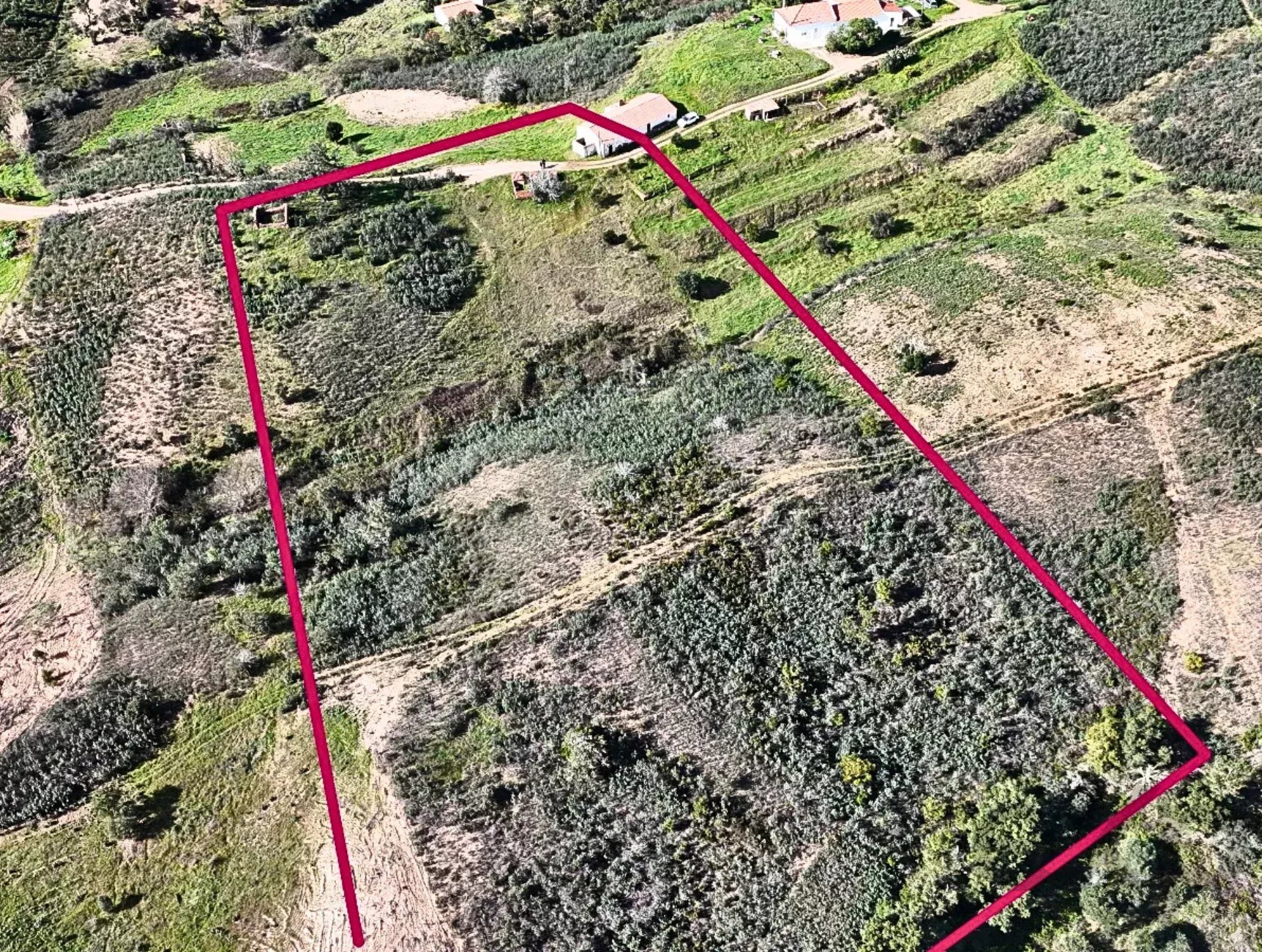Aerial view of a rural plot outlined in magenta, with grassy hills, scattered trees, a dirt road, and a few houses along the road edge.