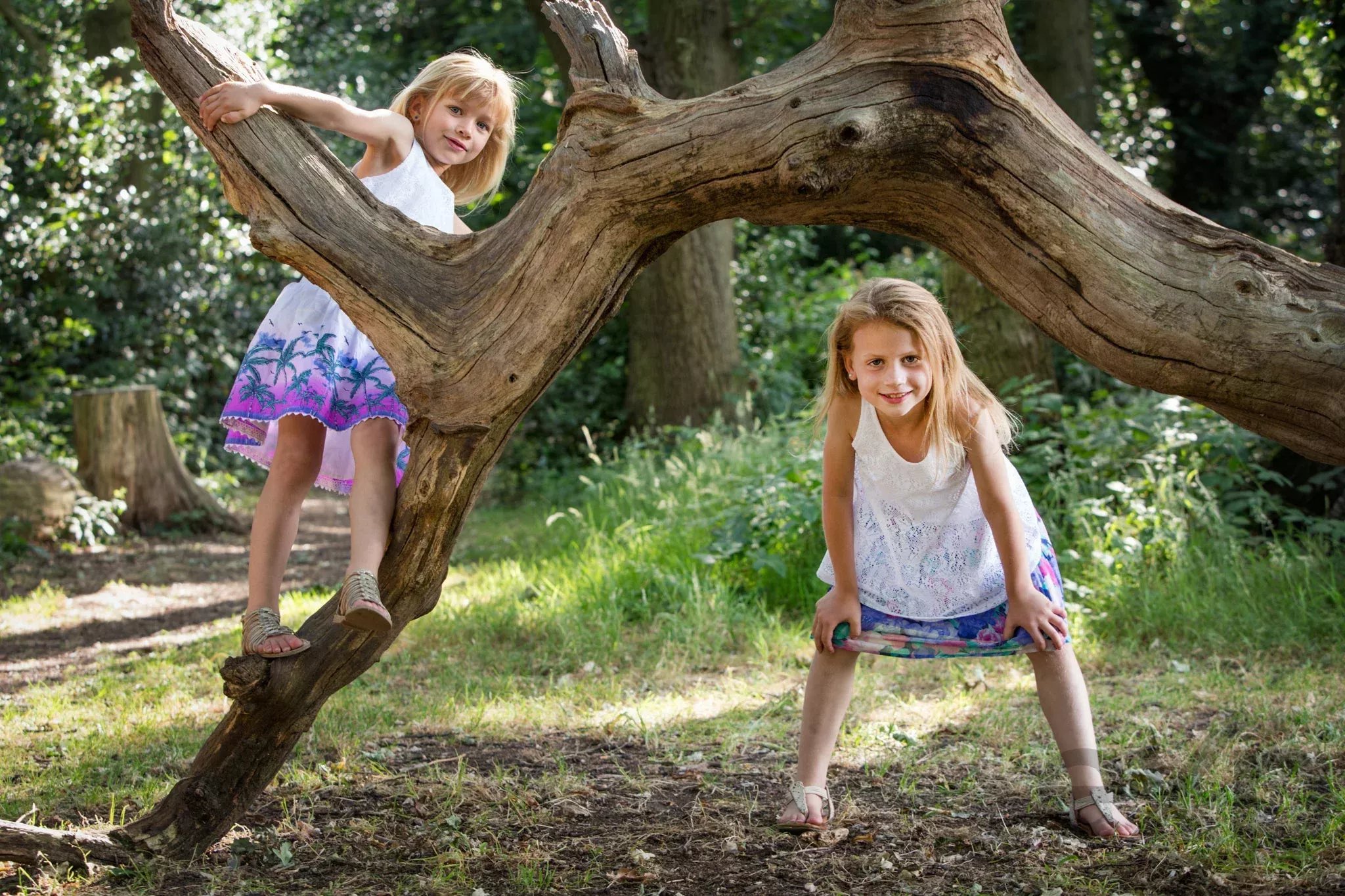 Two young girls play on a large, curved tree branch outdoors in a sunny park. One leans on the branch while the other crouches nearby, both smiling and wearing light dresses.