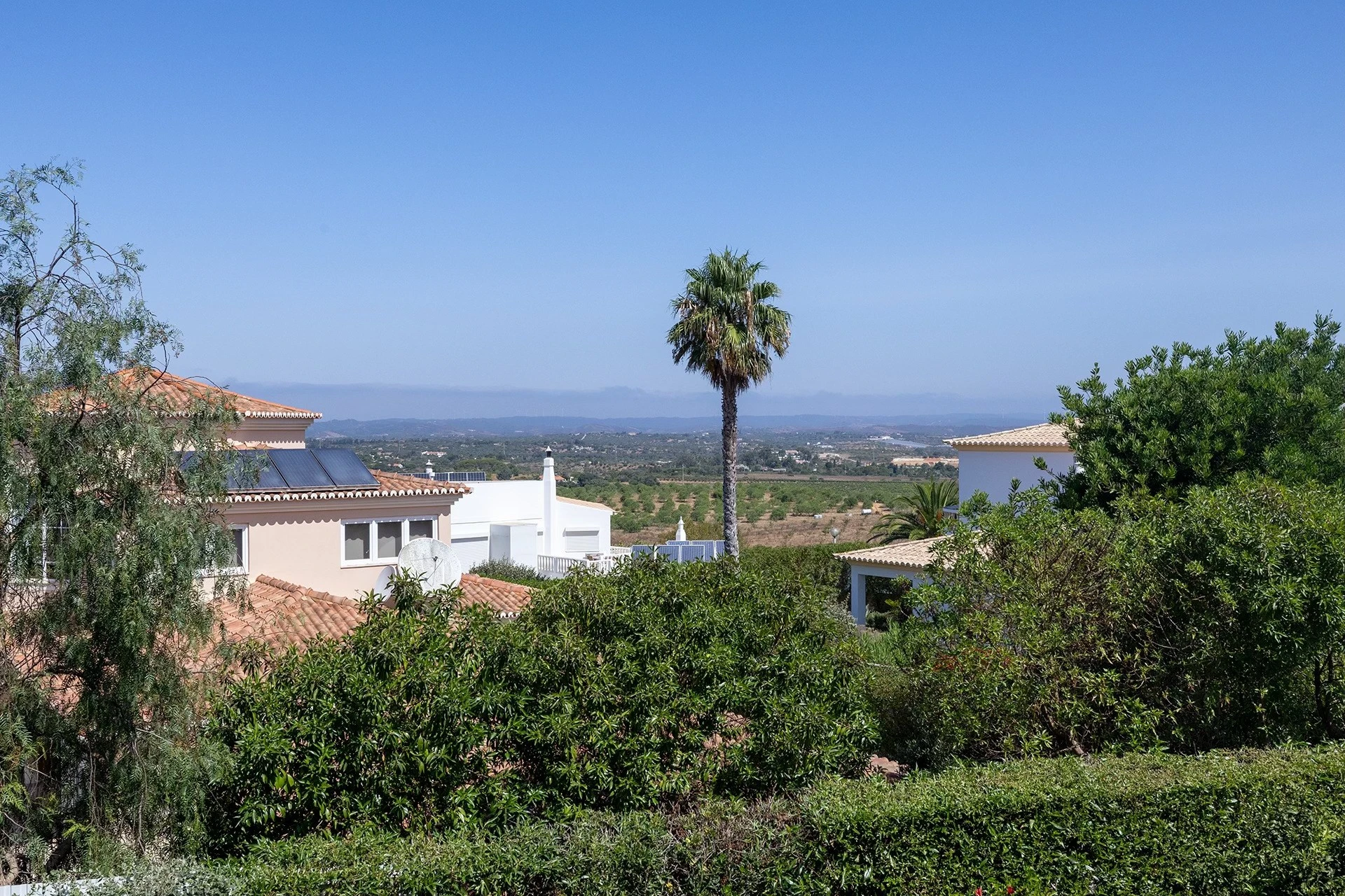 T5 Villa with pool in Ferrel 5mn from beach and Lagos centre – SunnySteve 13 Palm tree centered among beige houses with terracotta roofs and shrubs, under a clear blue sky.