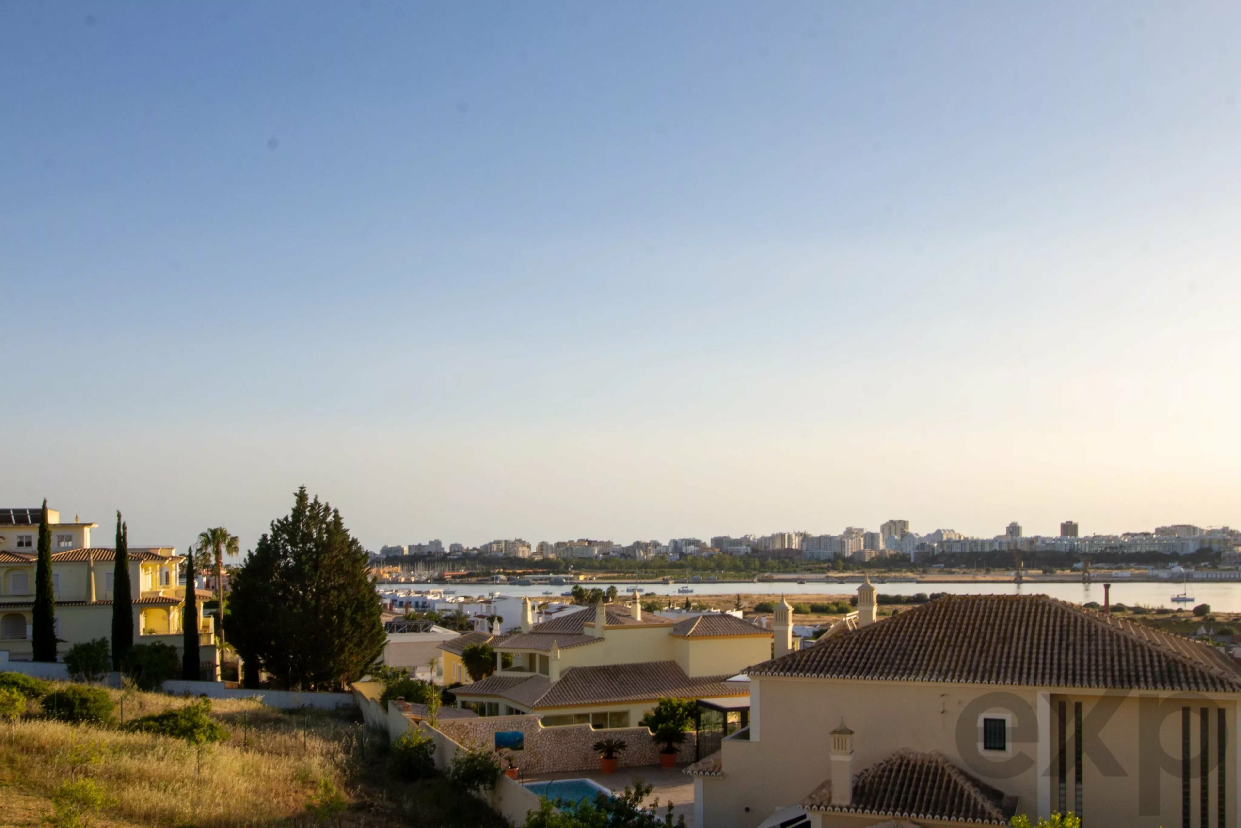 Row of beige houses with tiled roofs along a hillside, palm trees in the foreground, and a distant city skyline under a clear blue sky.