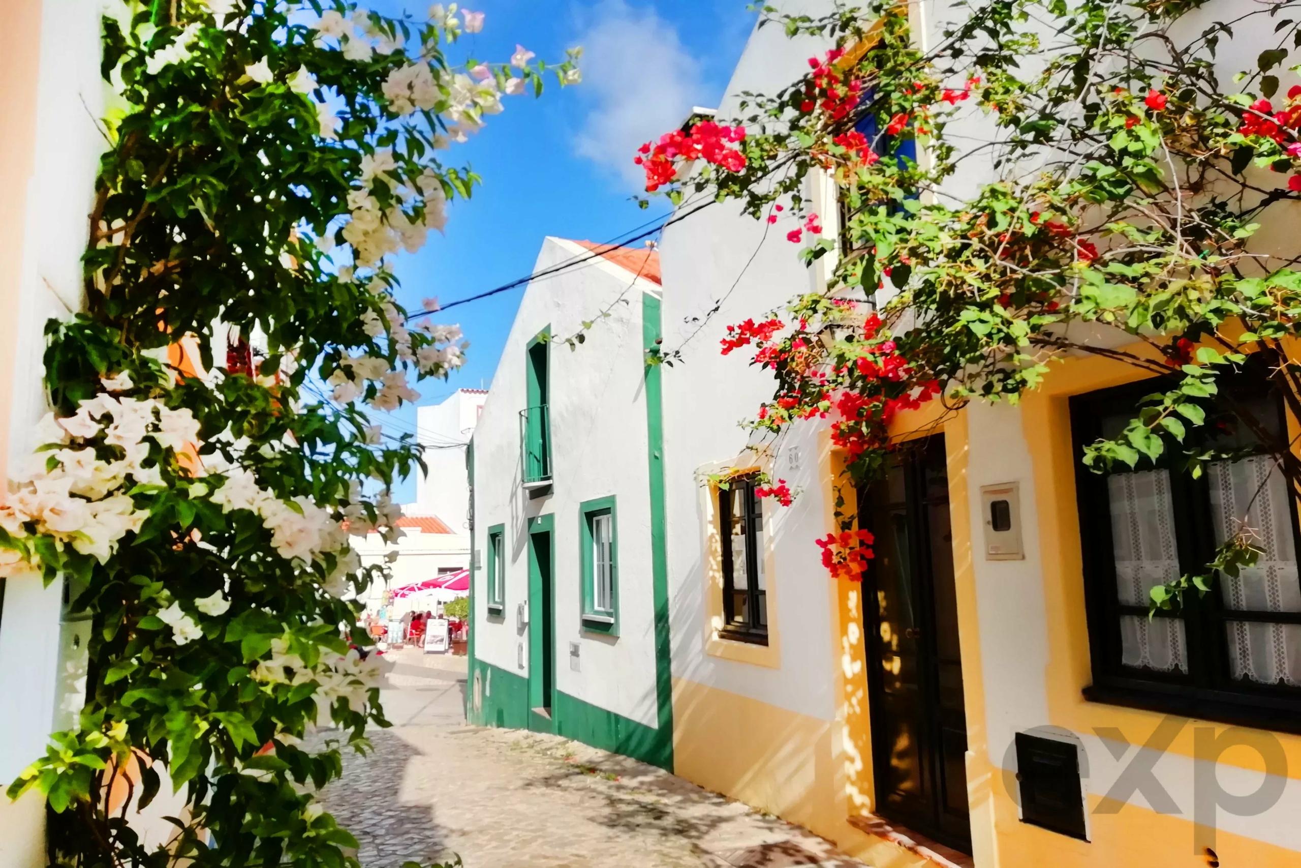 Sunny alley with white buildings trimmed in green, red bougainvillea vines climbing along the walls, and a blue sky above.