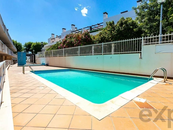 Rectangular blue pool in a sunny courtyard, surrounded by tan tile and a white fence with green shrubs beyond the wall.