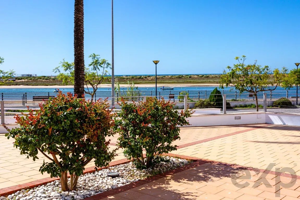 Seaside promenade with a palm tree, trimmed shrubs, and a railing overlooking a calm blue bay under a clear sky.