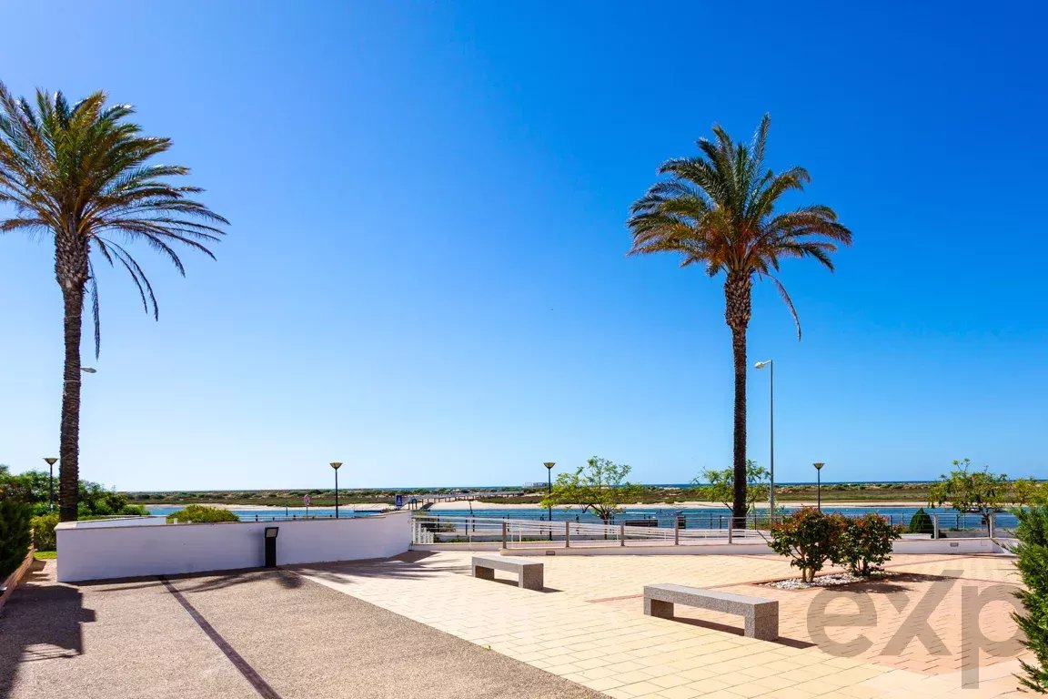 Sunny coastal promenade with two tall palm trees, a pale patio, benches, and a calm sea beyond a low white wall under a clear blue sky.