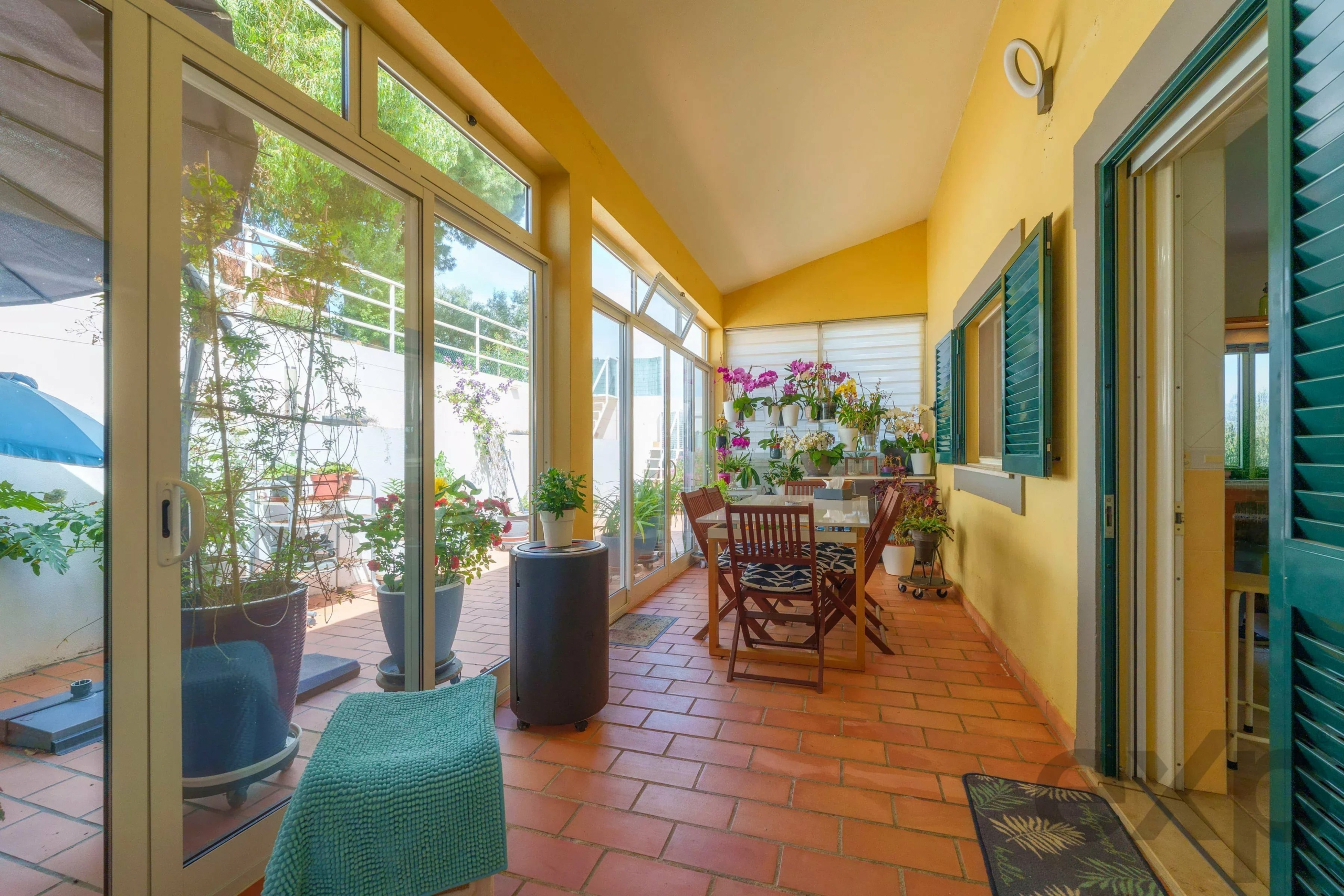 Sunroom with yellow walls, large glass doors, and many potted plants along the windowsill and table; wooden chairs around a glass table visible in a sunlit indoor garden space.
