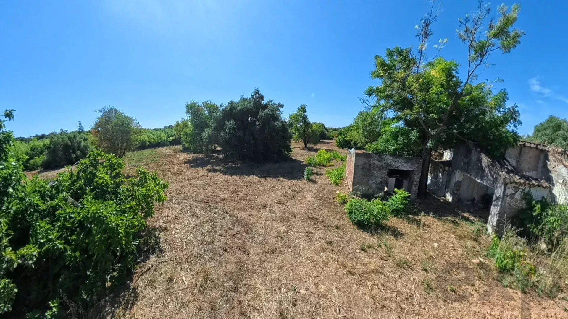 Traditional Countryside Property in Santo Estêvão, Tavira