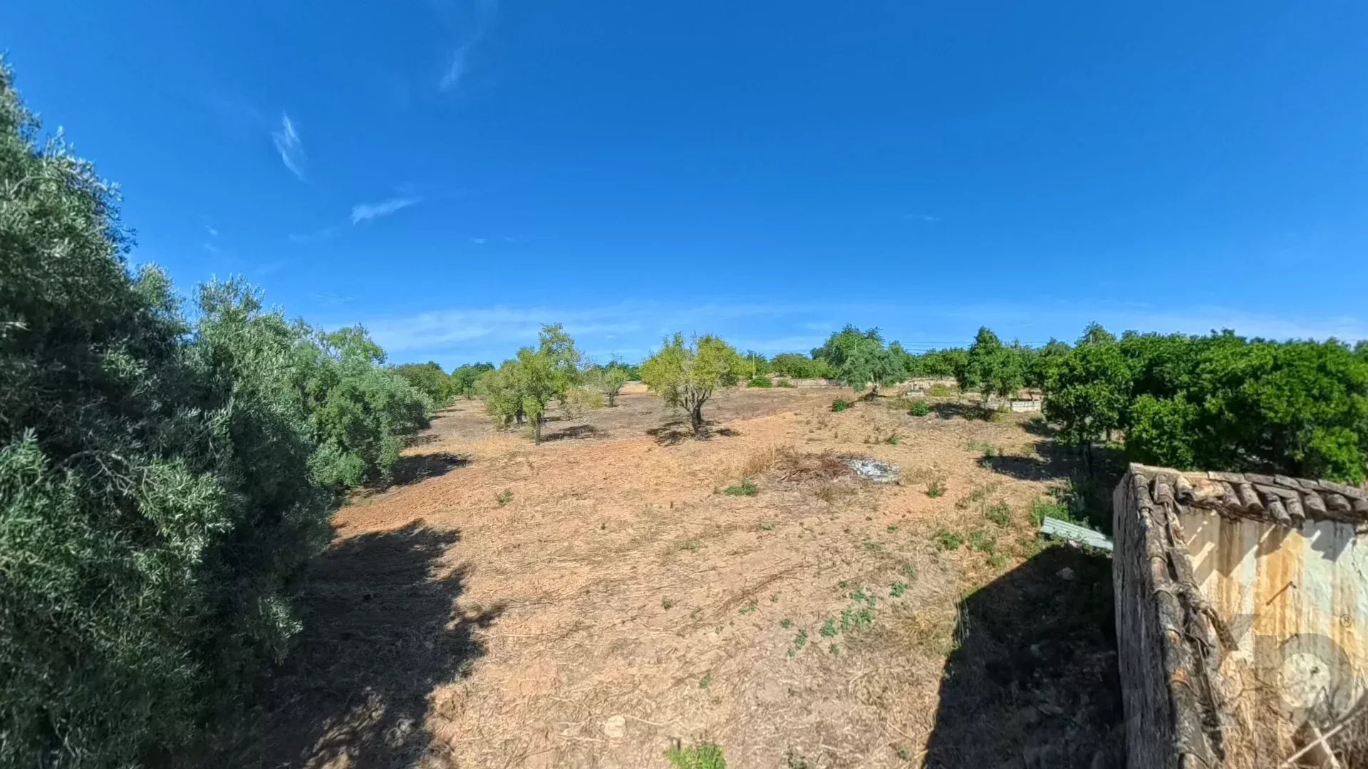Traditional Countryside Property in Santo Estêvão, Tavira