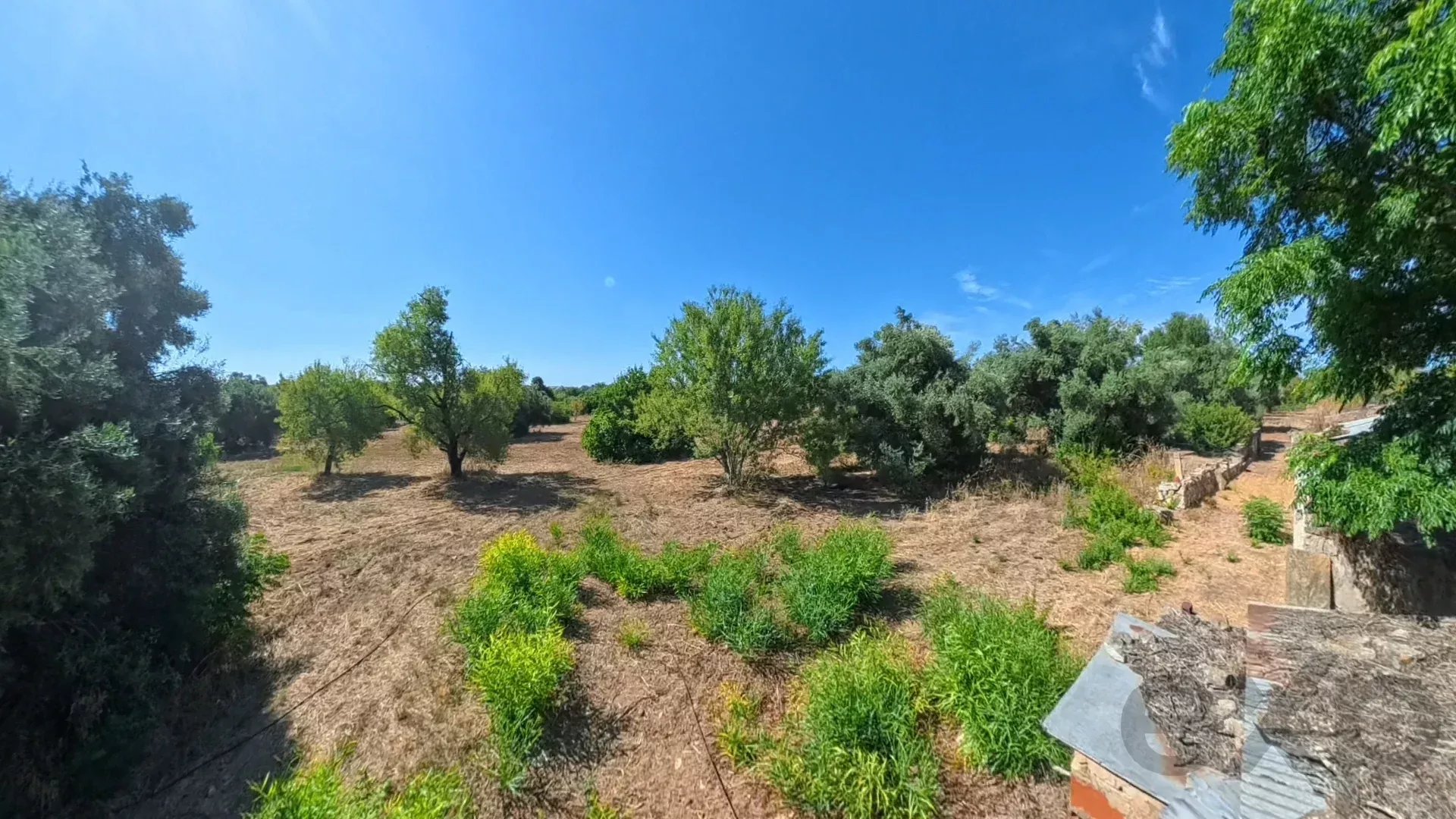 Traditional Countryside Property in Santo Estêvão, Tavira