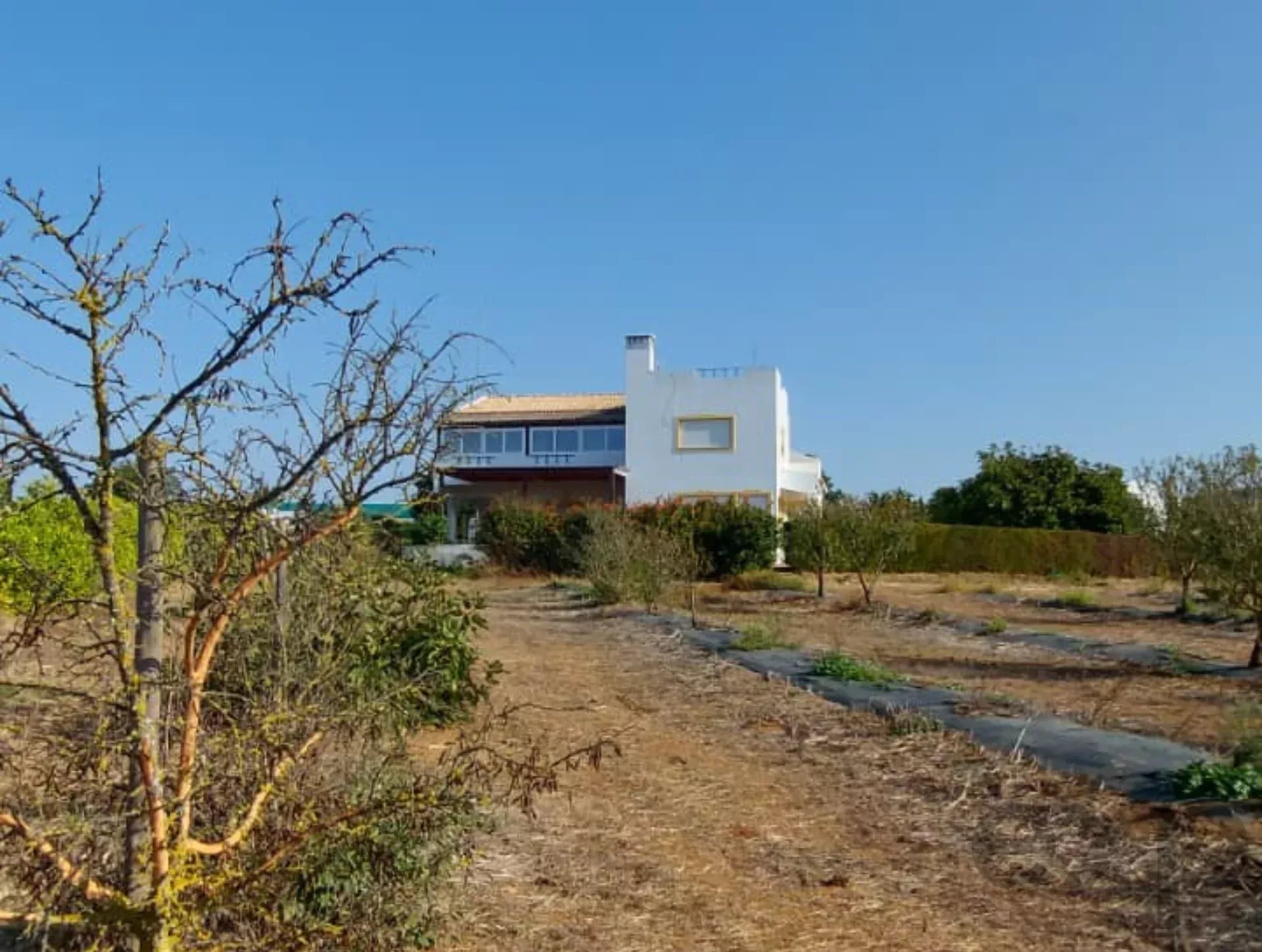 3.3 hectare Countryside Retreat with Rental Income in the Algarve