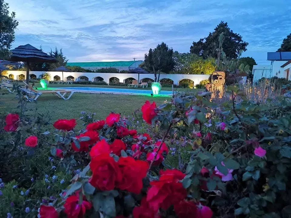 Quinta no Algarve Chave na Mão: 3 Casas, Piscina e Rendimento