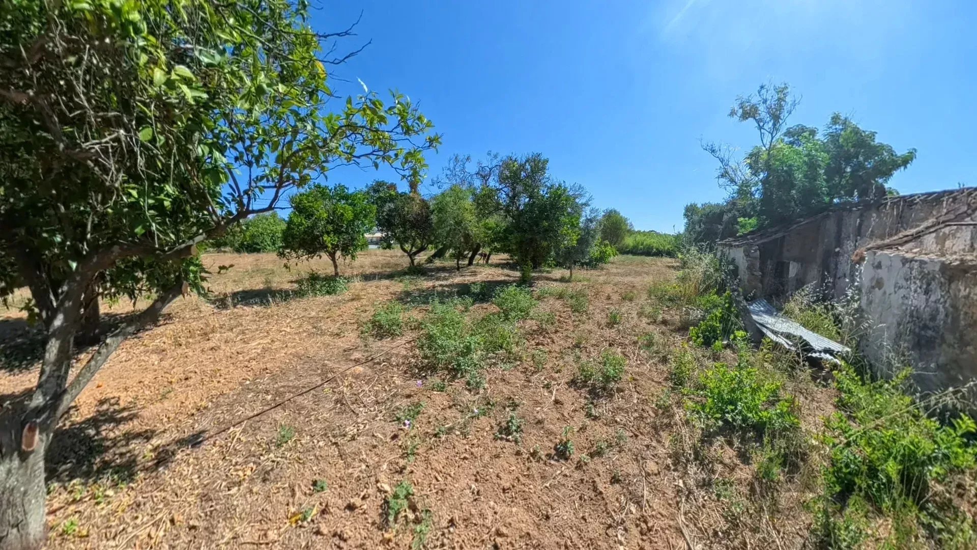 Traditional Countryside Property in Santo Estêvão, Tavira