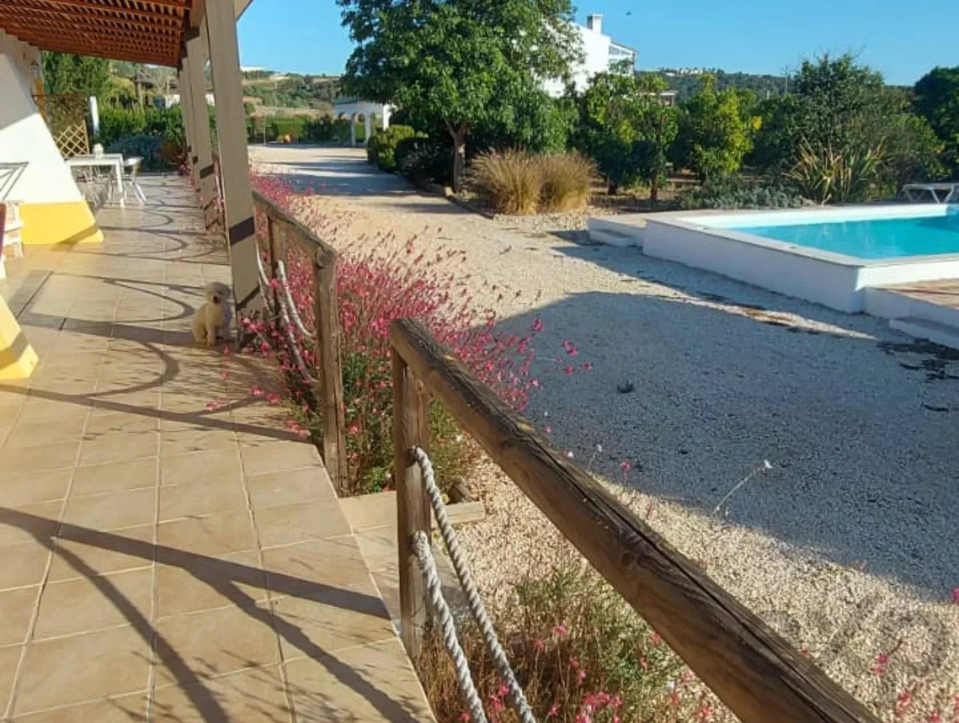 3.3 hectare Countryside Retreat with Rental Income in the Algarve