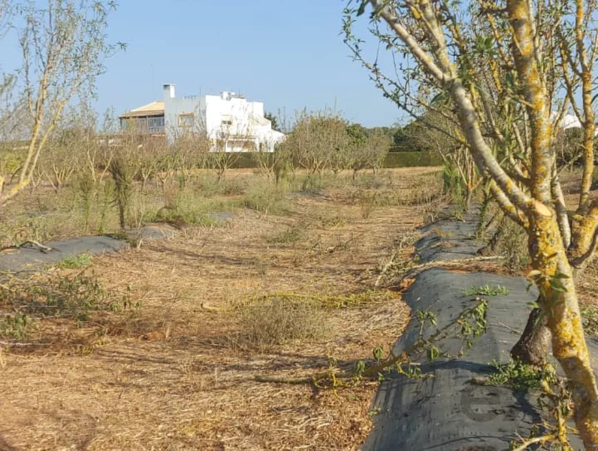 3.3 hectare Countryside Retreat with Rental Income in the Algarve