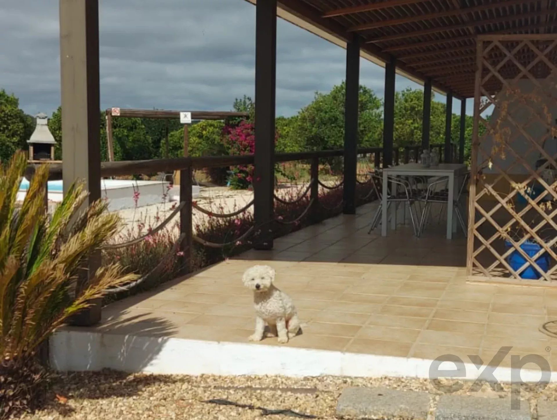 3.3 hectare Countryside Retreat with Rental Income in the Algarve