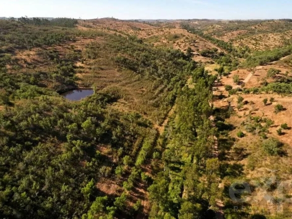 Außergewöhnliches Landgut von 65 ha im Alentejo mit touristischem Entwicklungspotenzial