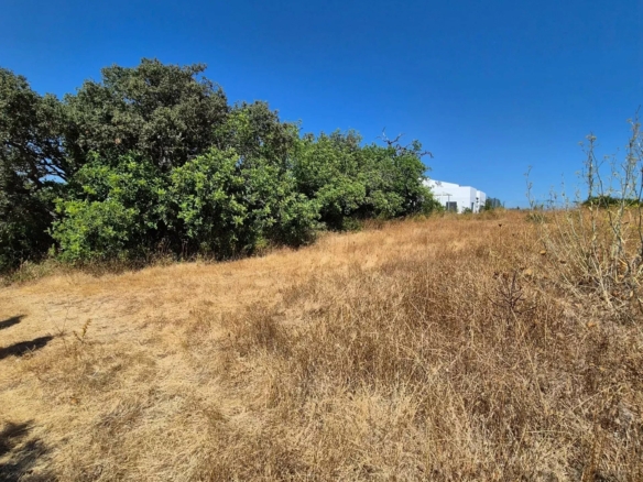 Rustic Land in Santa Bárbara de Nexe
