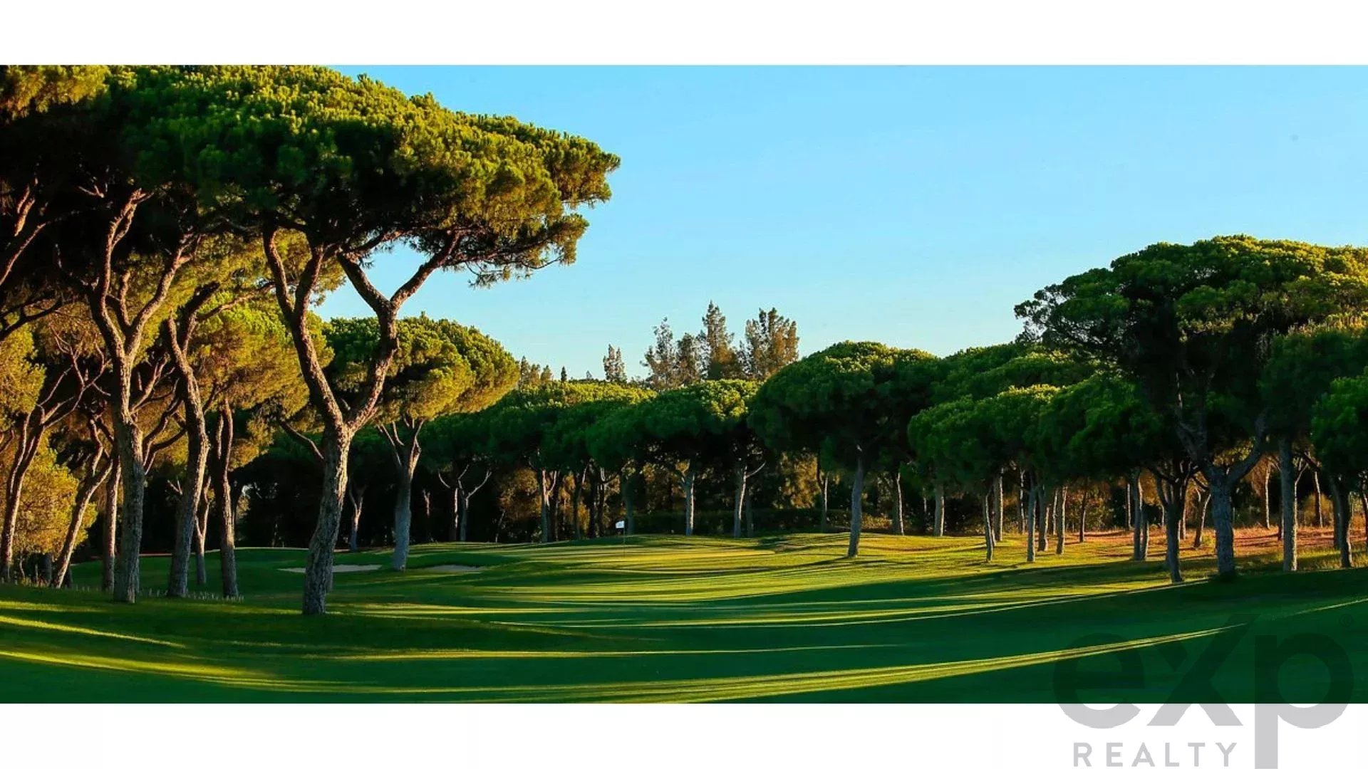 Luxury 4-Bedroom Villas with Private Pool Overlooking the Ria Formosa