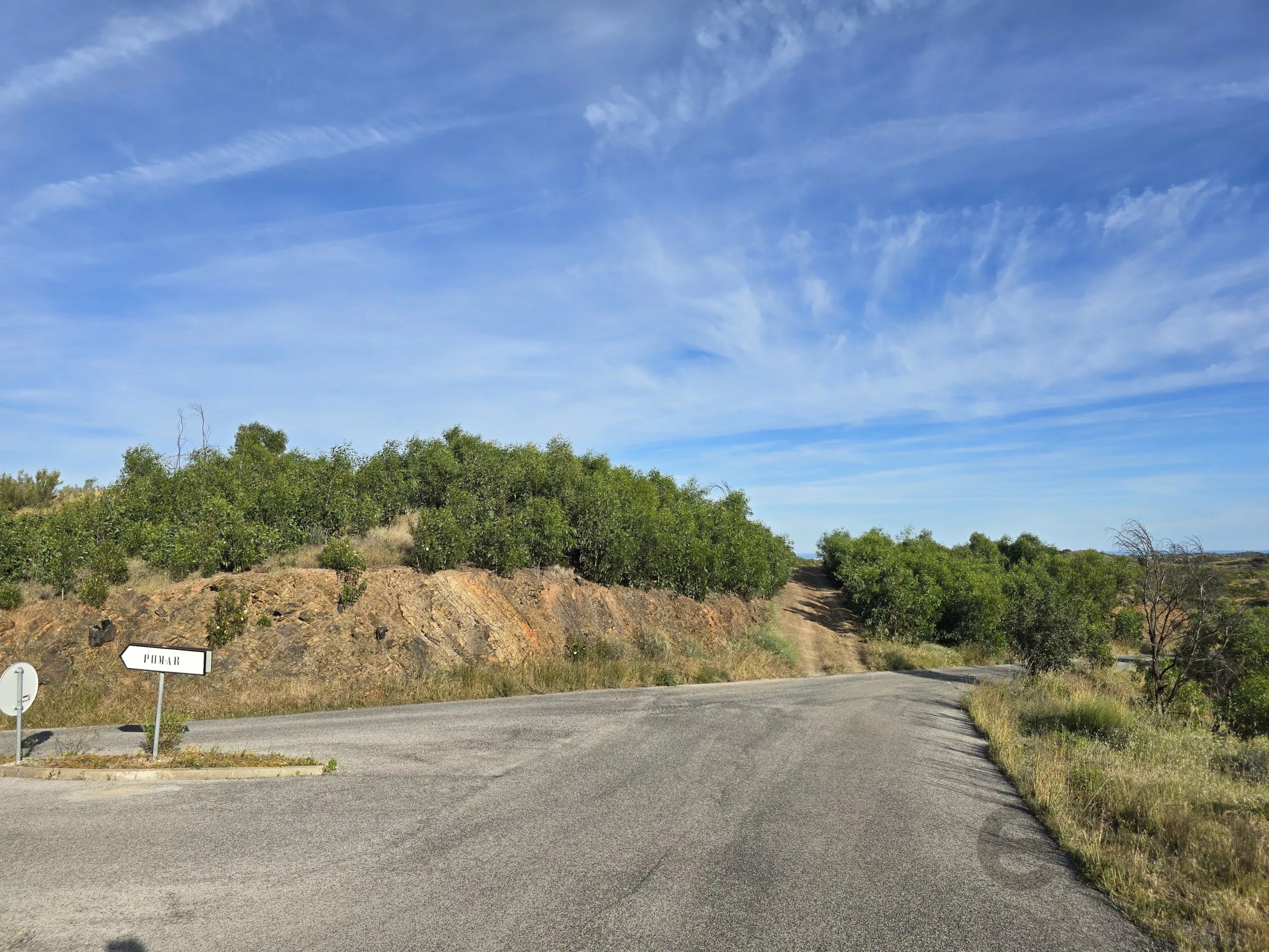 Rural land with sea view over one hectare