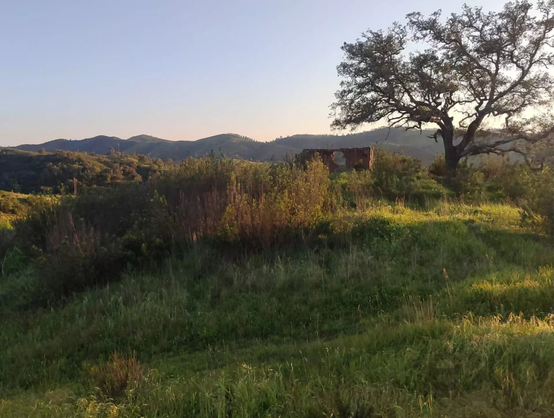 1,13 hectare in São Marcos da Serra: potentieel voor luxe woningbouw of een exclusief toeristisch project