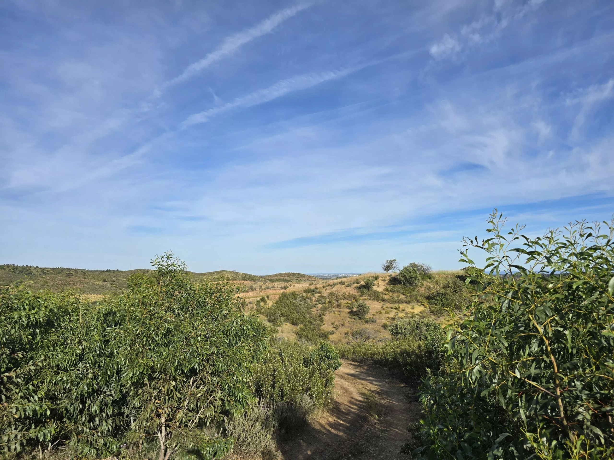 Rural land with sea view over one hectare