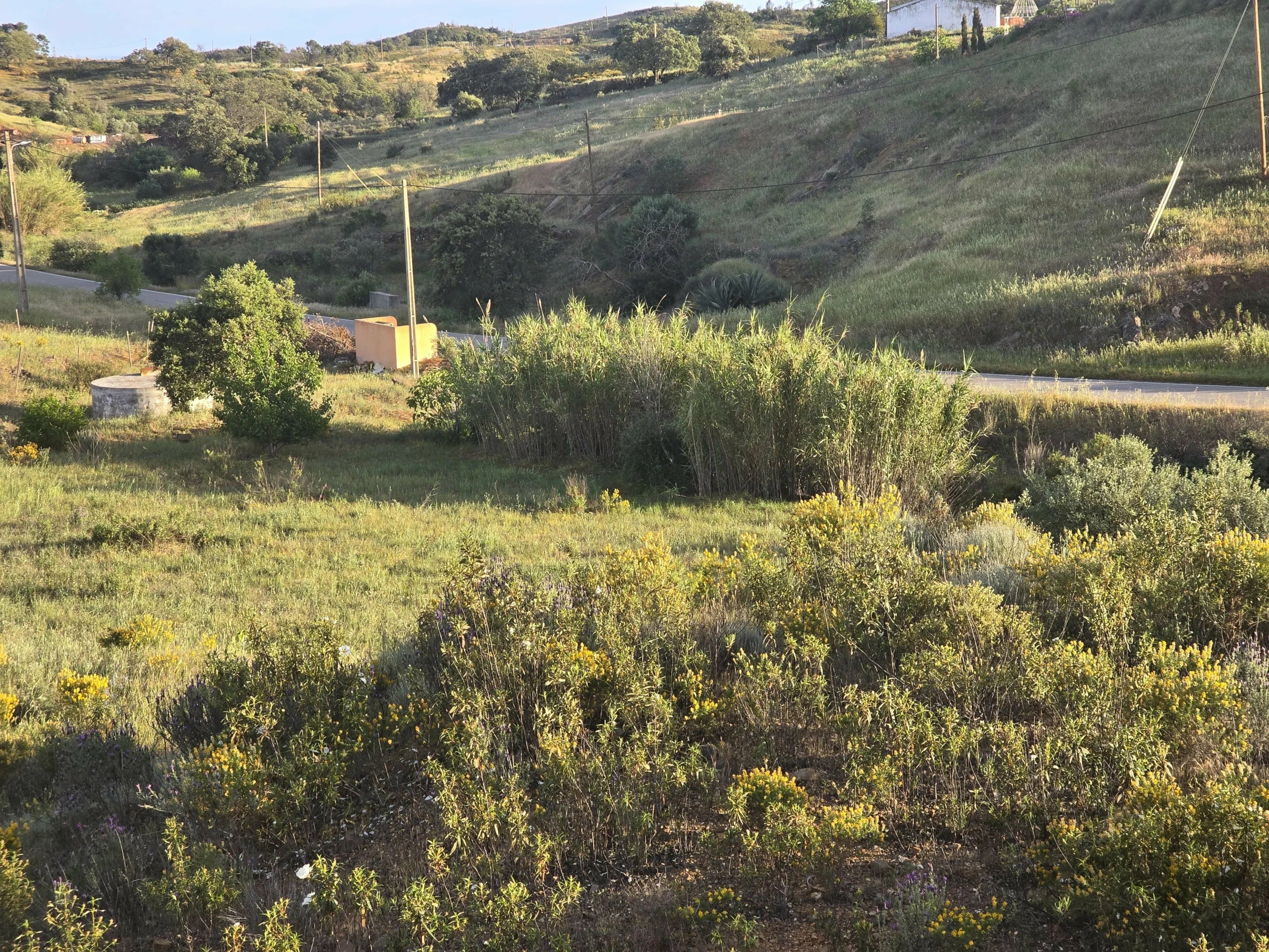 Rustic land Corte Antonio Martins with one hectare