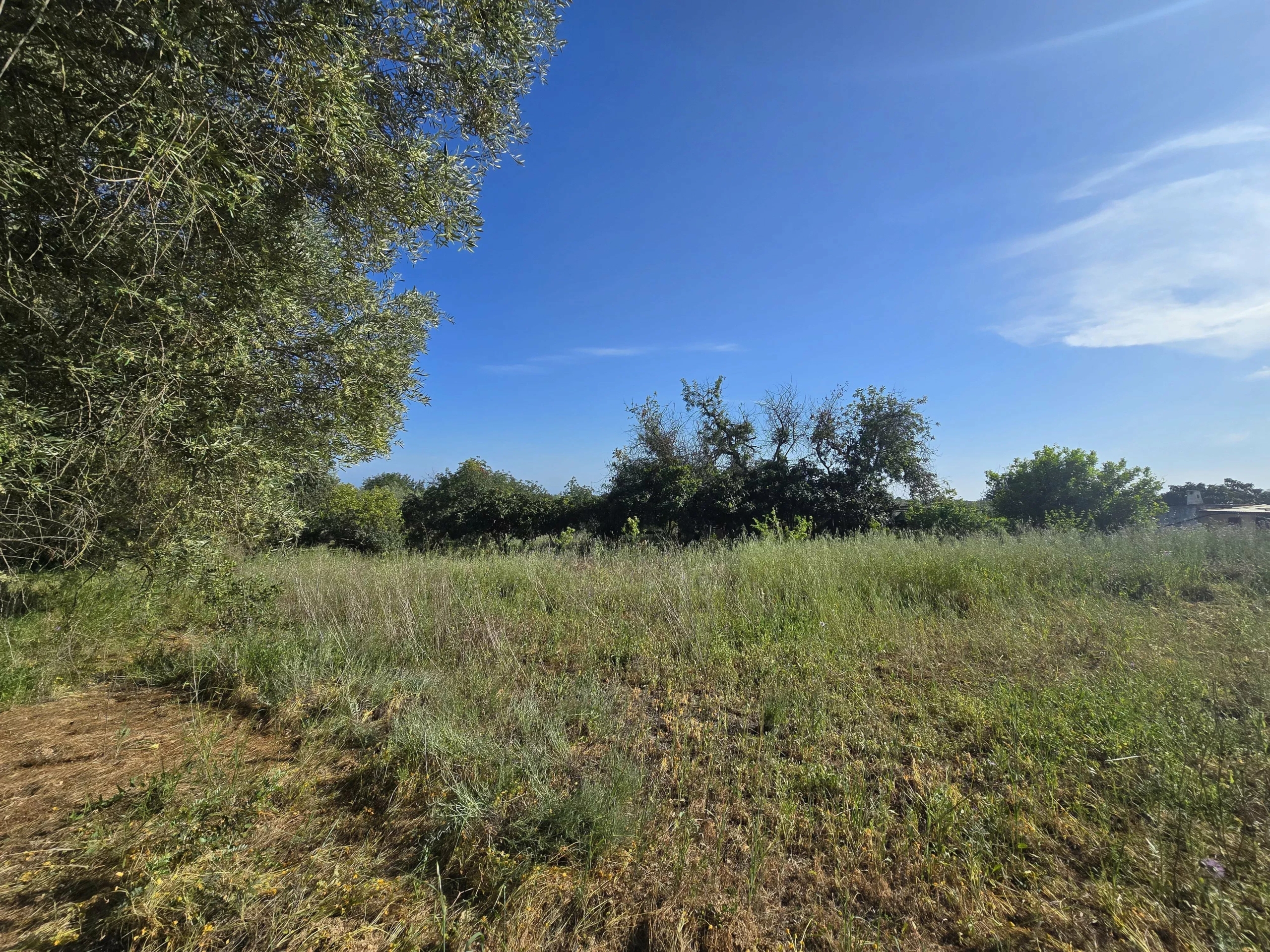 6 room Farmhouse with 1.5 hectares of land and sea view