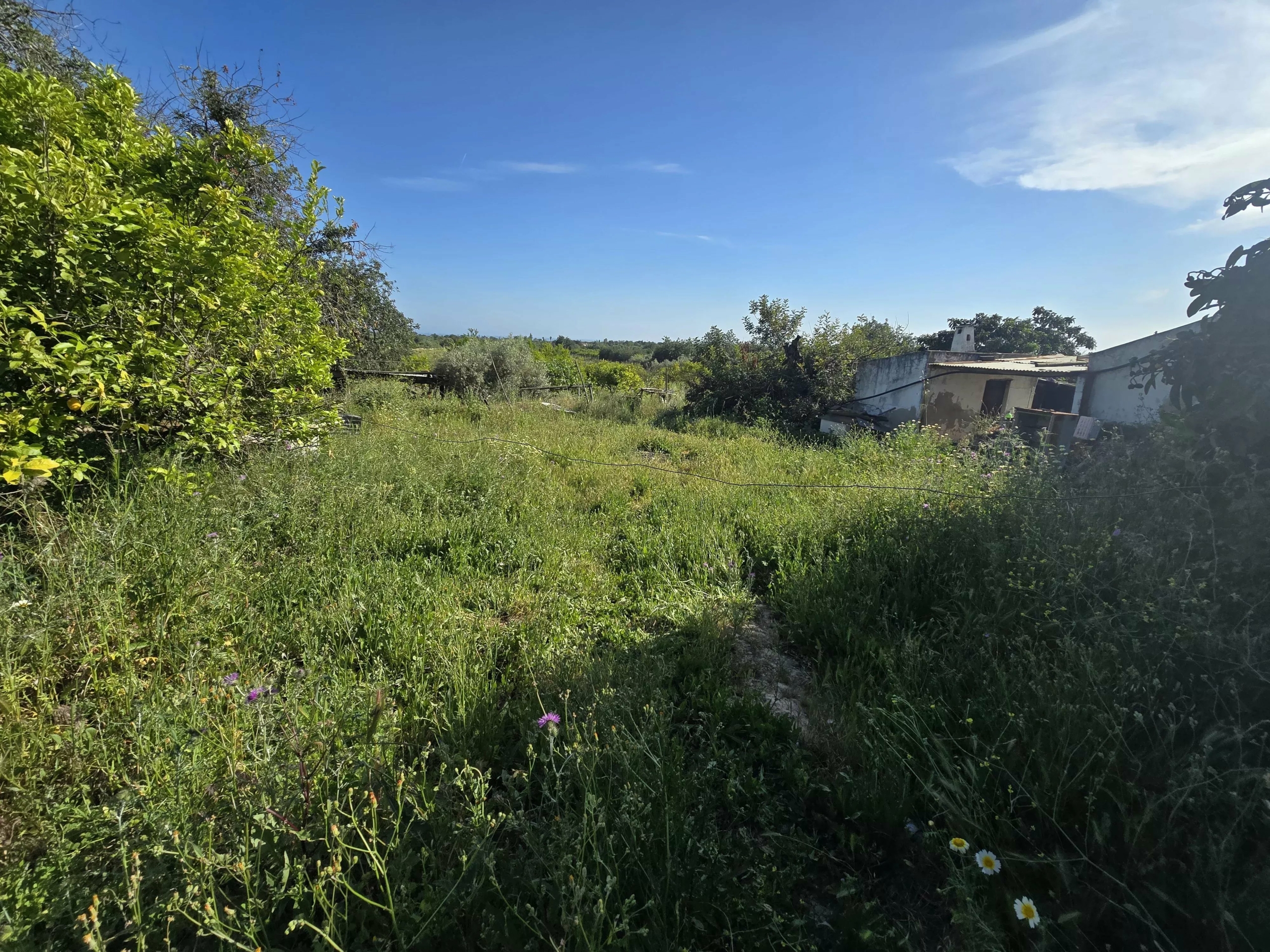 6 room Farmhouse with 1.5 hectares of land and sea view