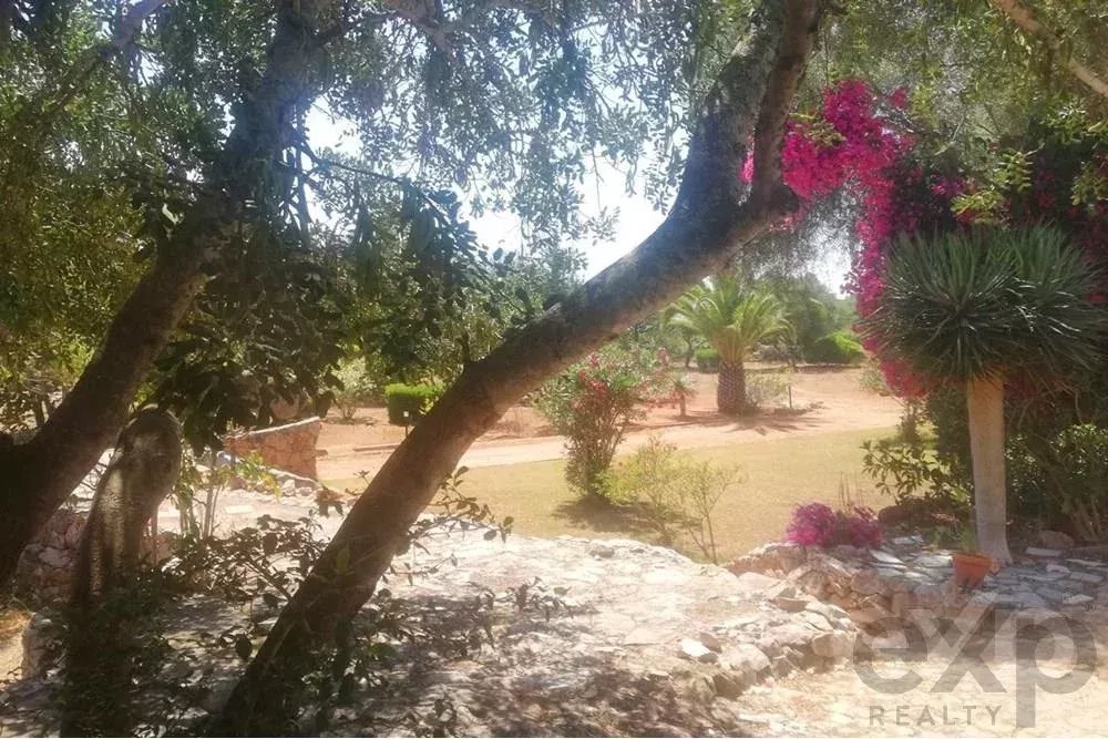 Farm for sale in Santa Margarida