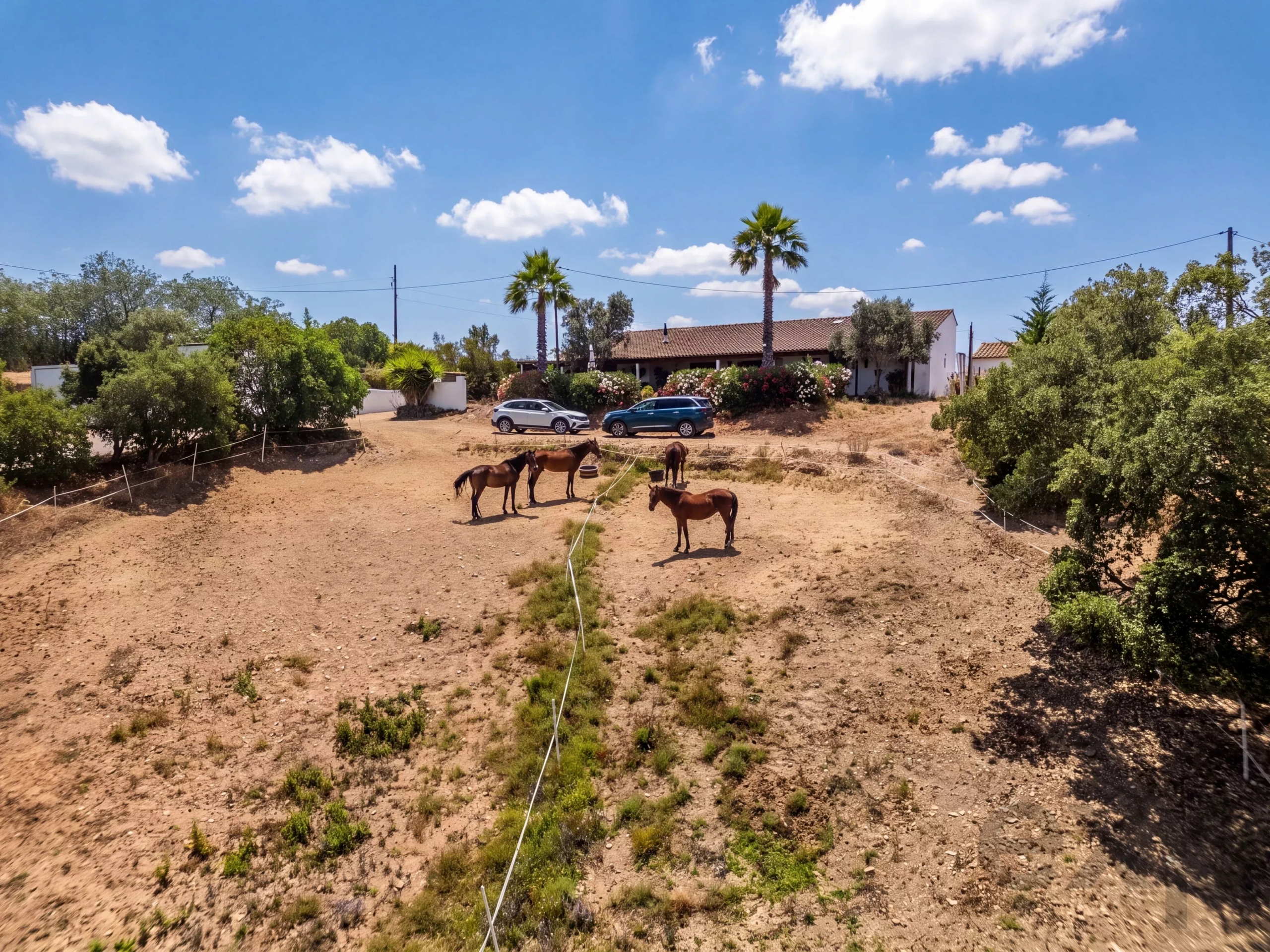 Beautiful Family Home with Equestrian Facilities Set in 2.3 hectares