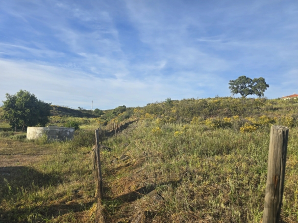 Rustic land Corte Antonio Martins with one hectare