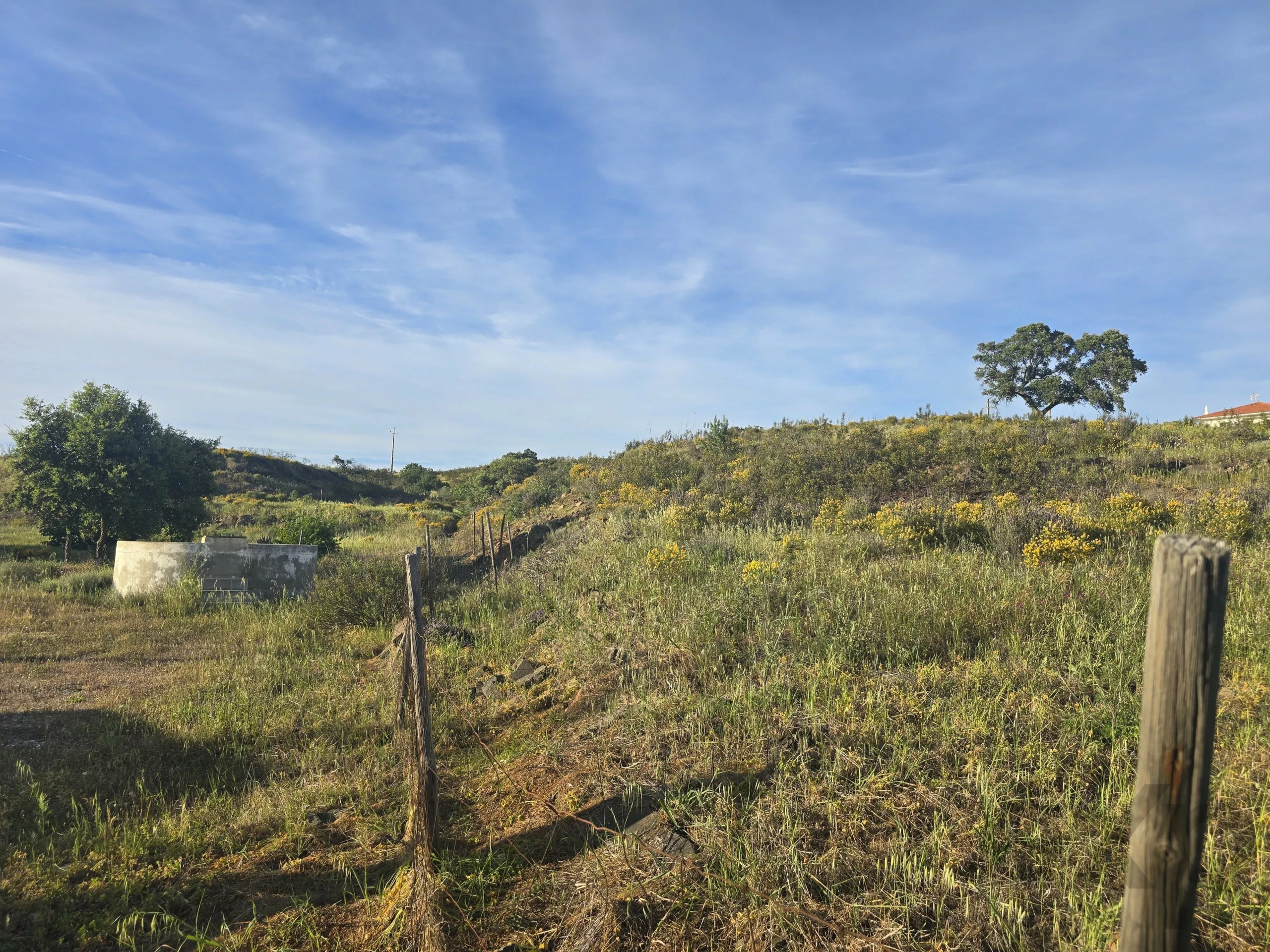 Rustic land Corte Antonio Martins with one hectare