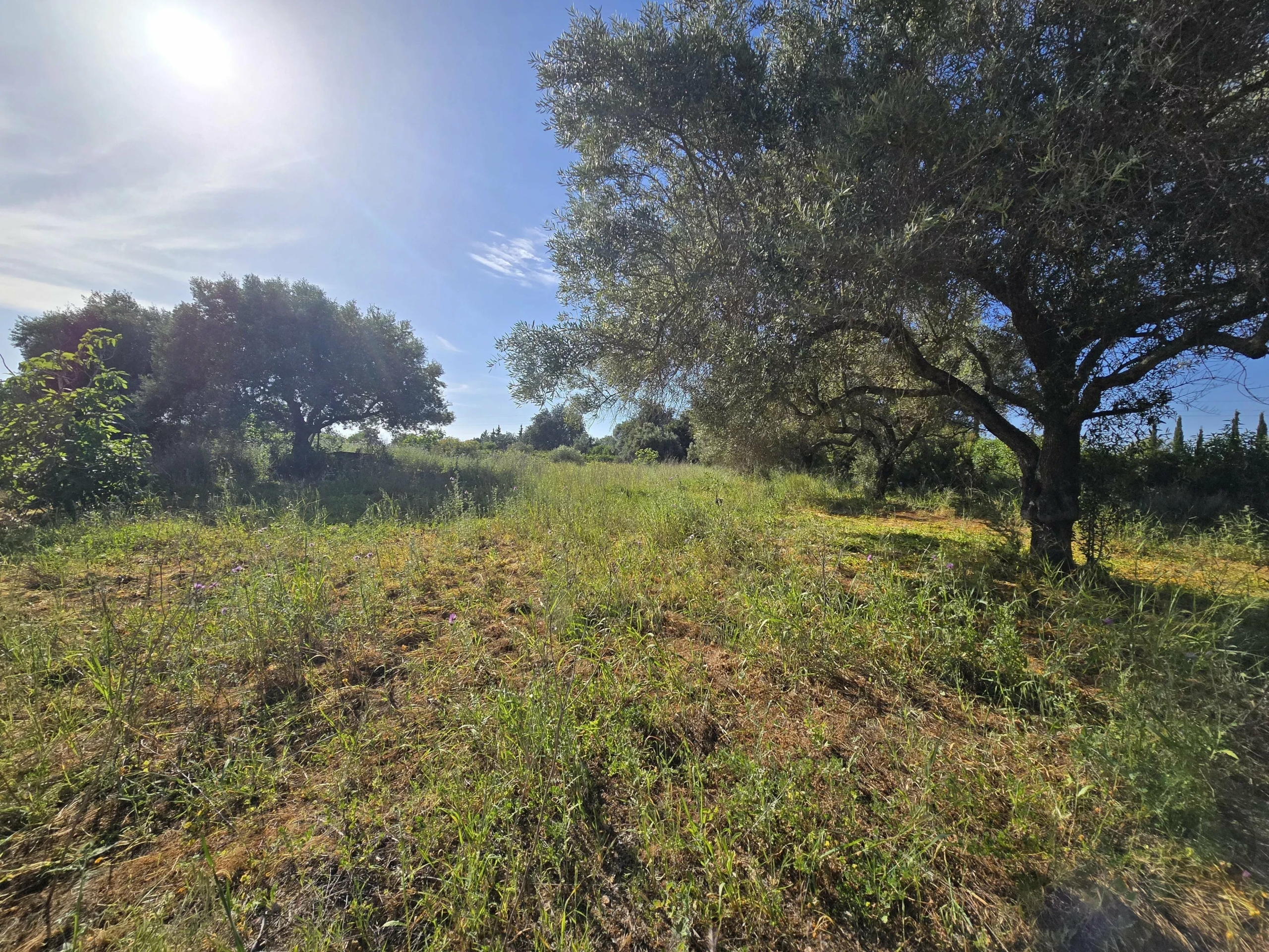 6 room Farmhouse with 1.5 hectares of land and sea view