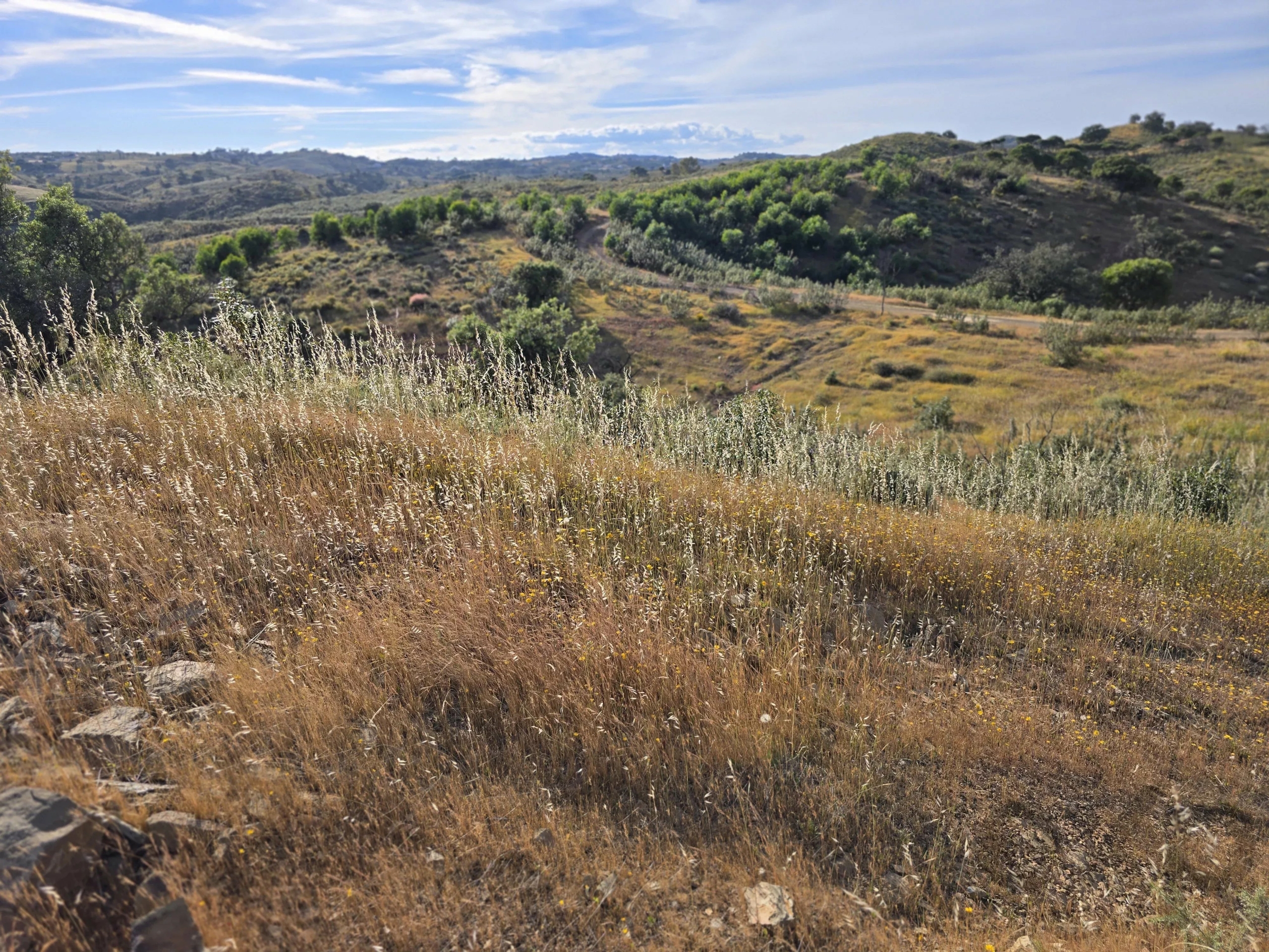Rural land with sea view over one hectare