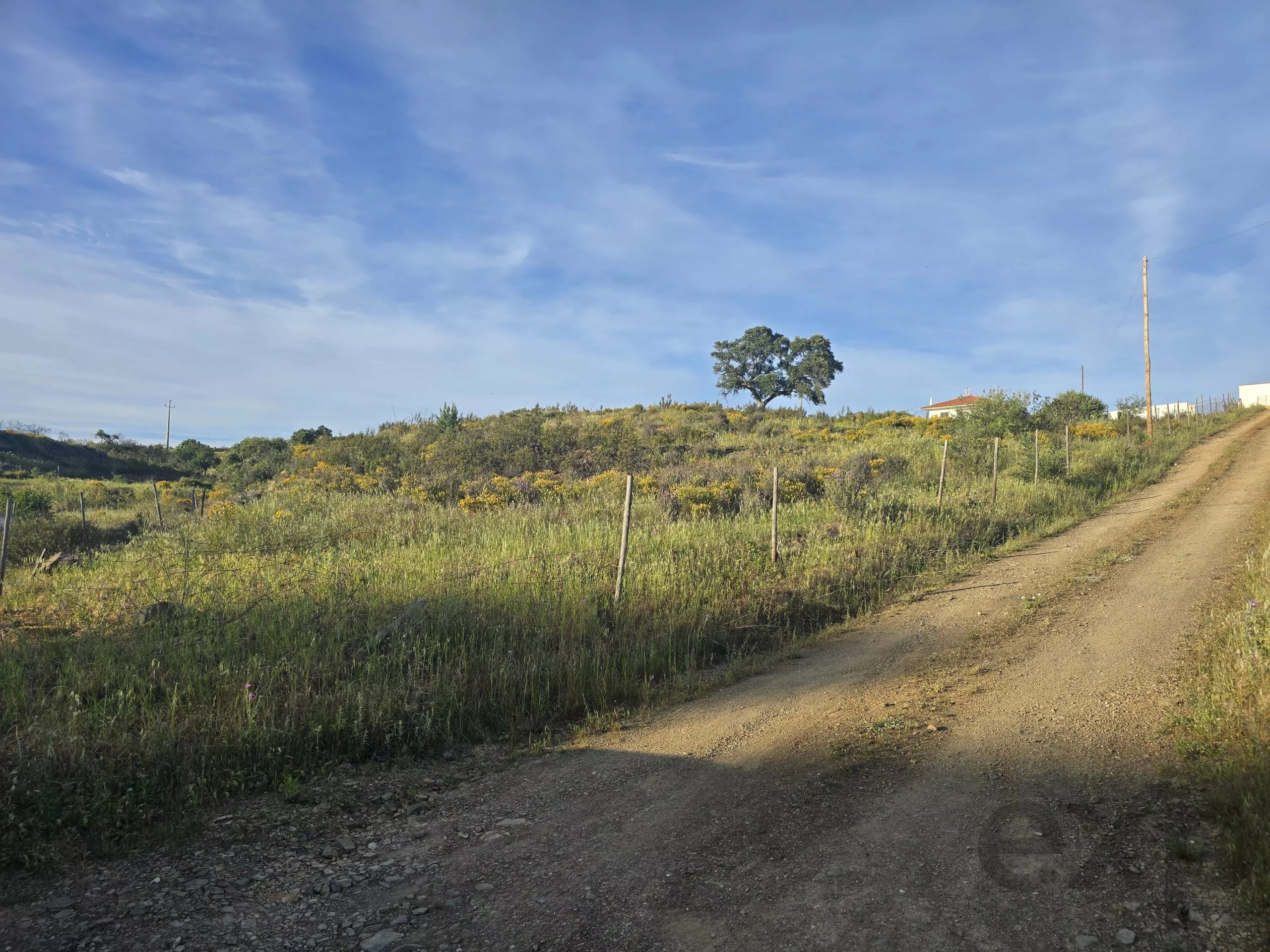 Rustic land Corte Antonio Martins with one hectare