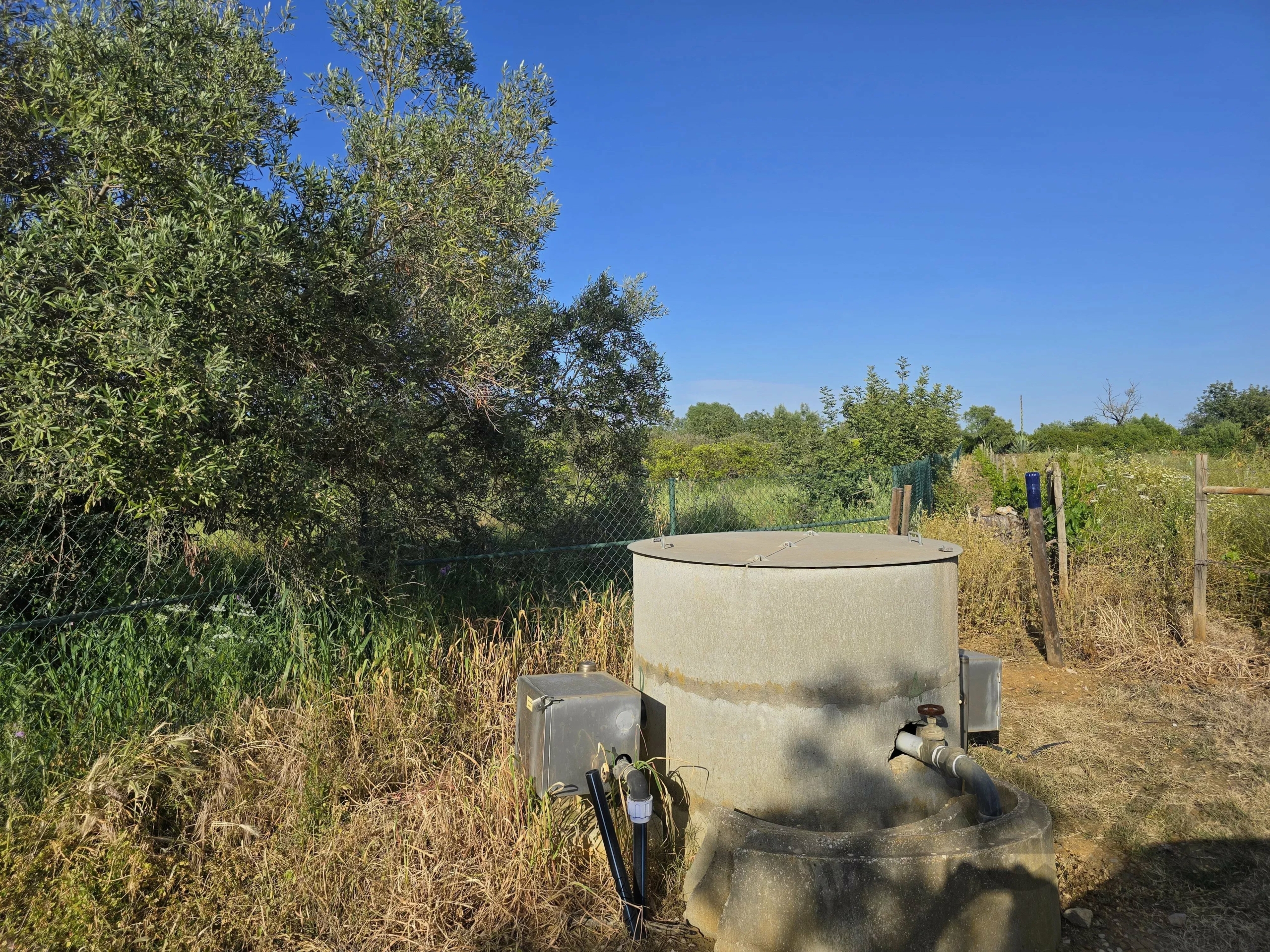 6 room Farmhouse with 1.5 hectares of land and sea view