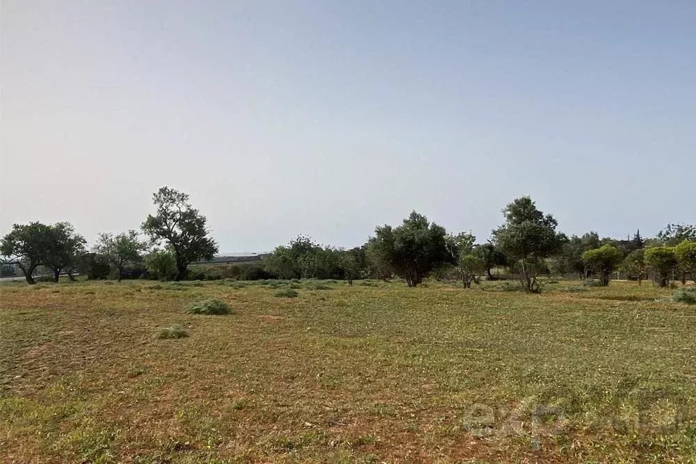 Terreno rústico em Quelfes, Algarve