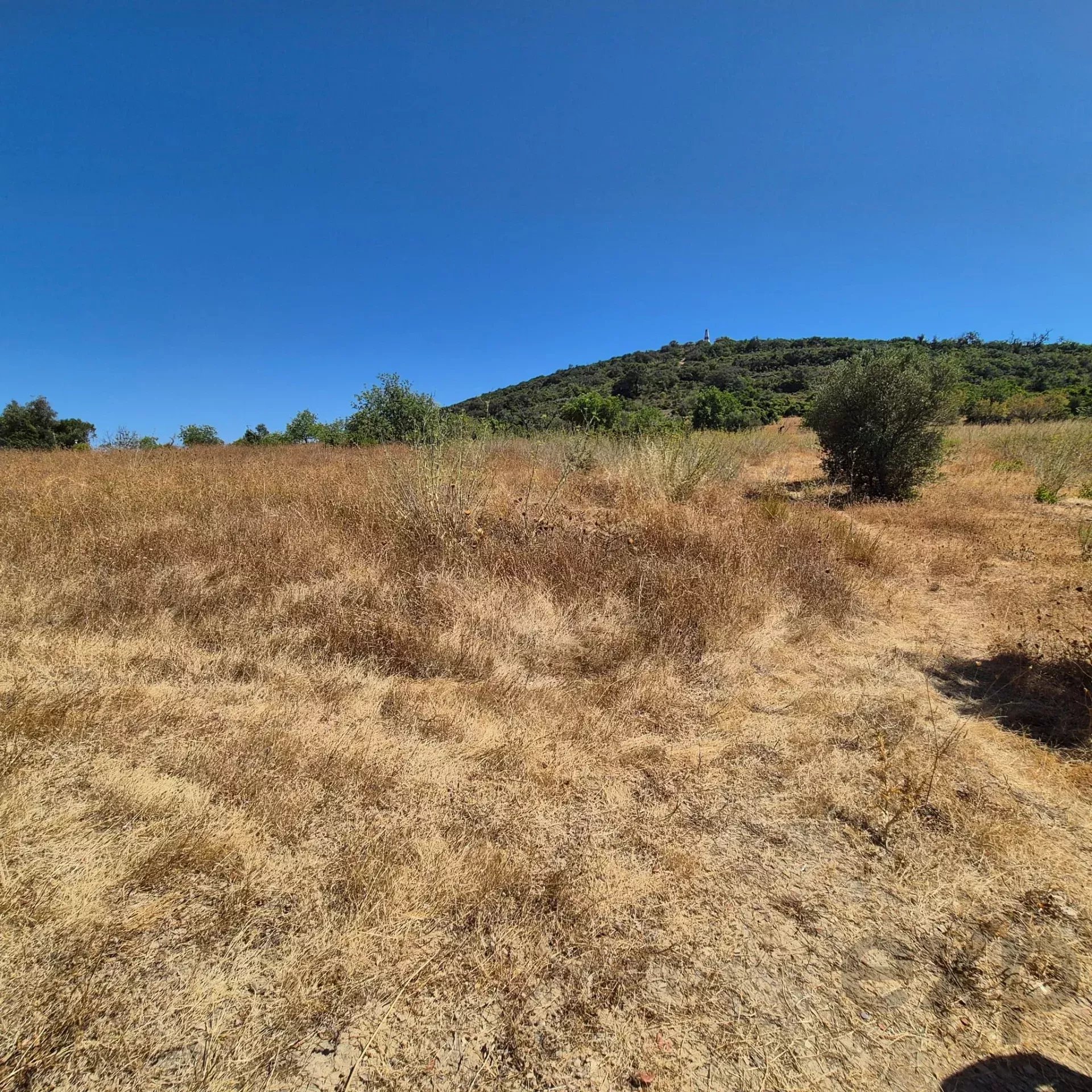 Rustic Land in Santa Bárbara de Nexe