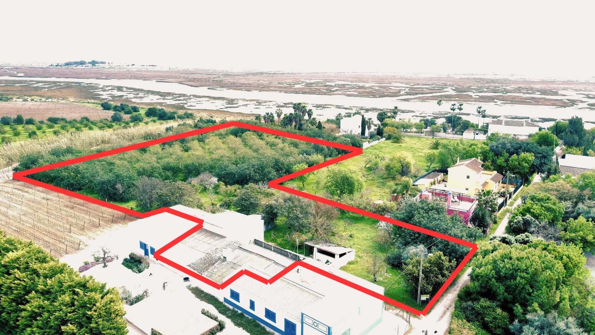 Ferme exclusive de 7.272 m², à proximité de la Ria Formosa – Potentiel unique à Tavira