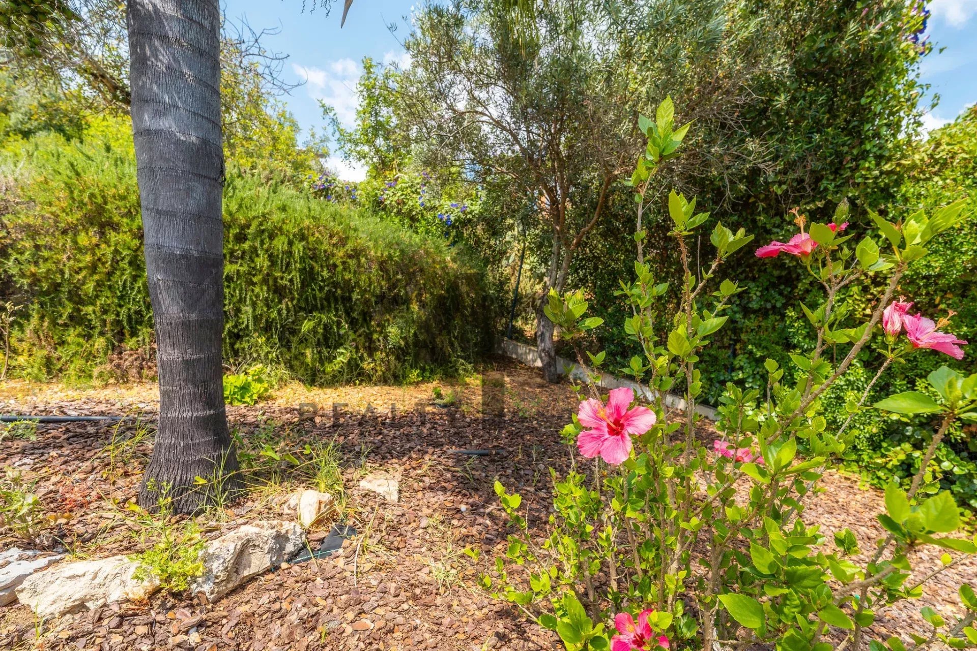 Four bedroom villa with open views and pool in São Bras de Alportel, Algarve