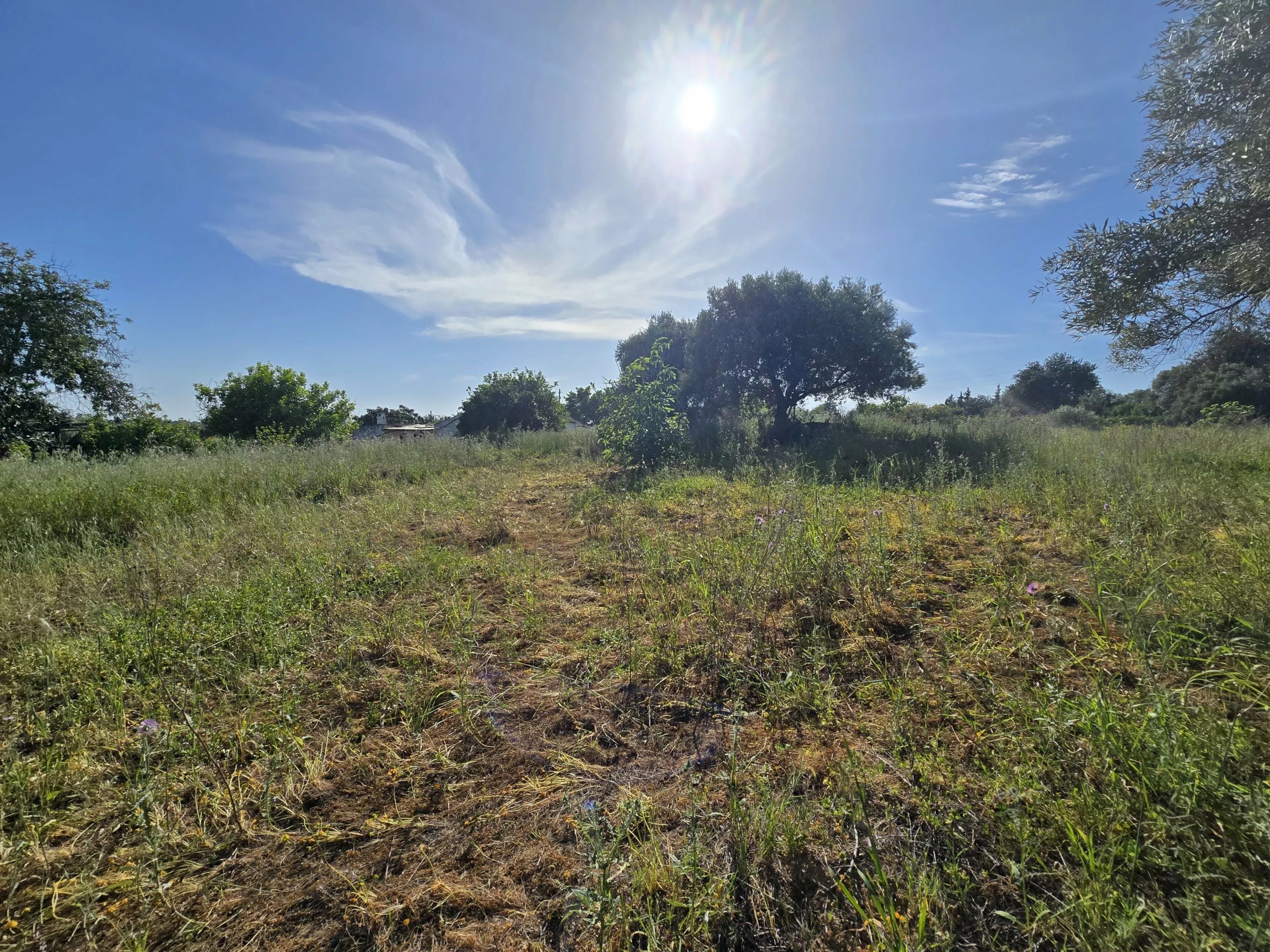6 room Farmhouse with 1.5 hectares of land and sea view