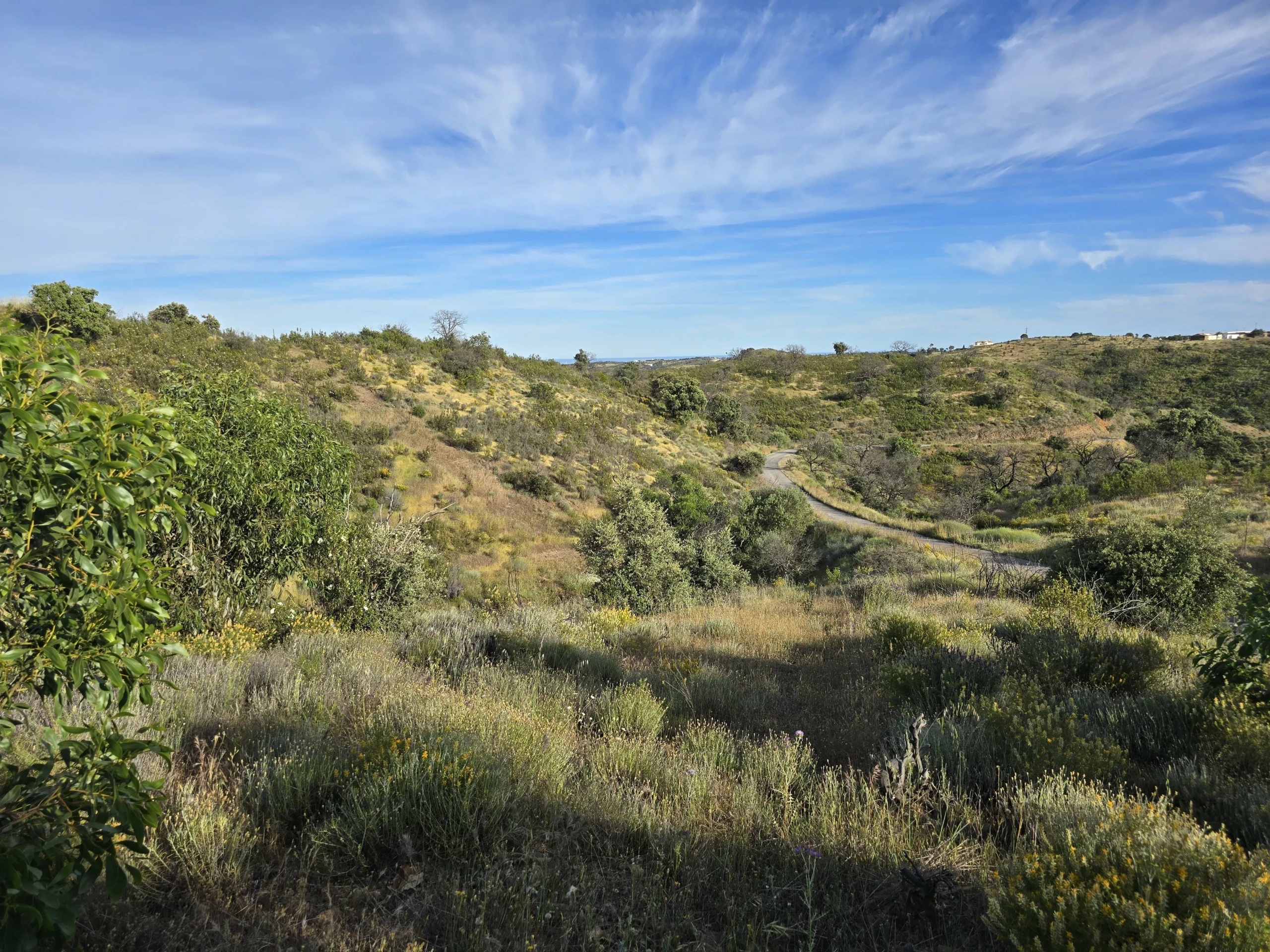 Rural land with sea view over one hectare