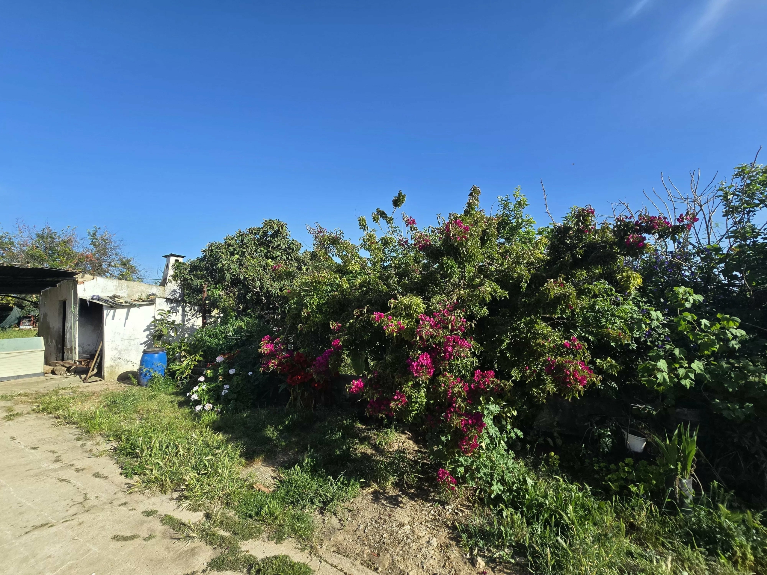 6 room Farmhouse with 1.5 hectares of land and sea view