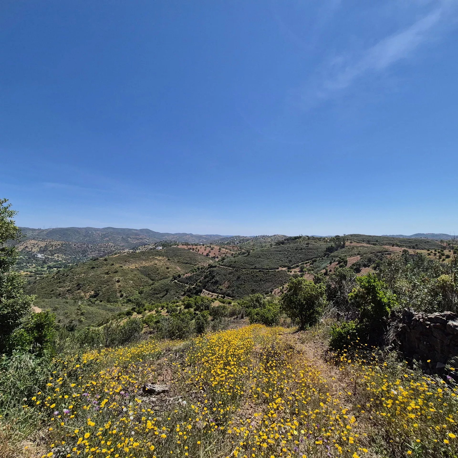 Rustic land in Bengado